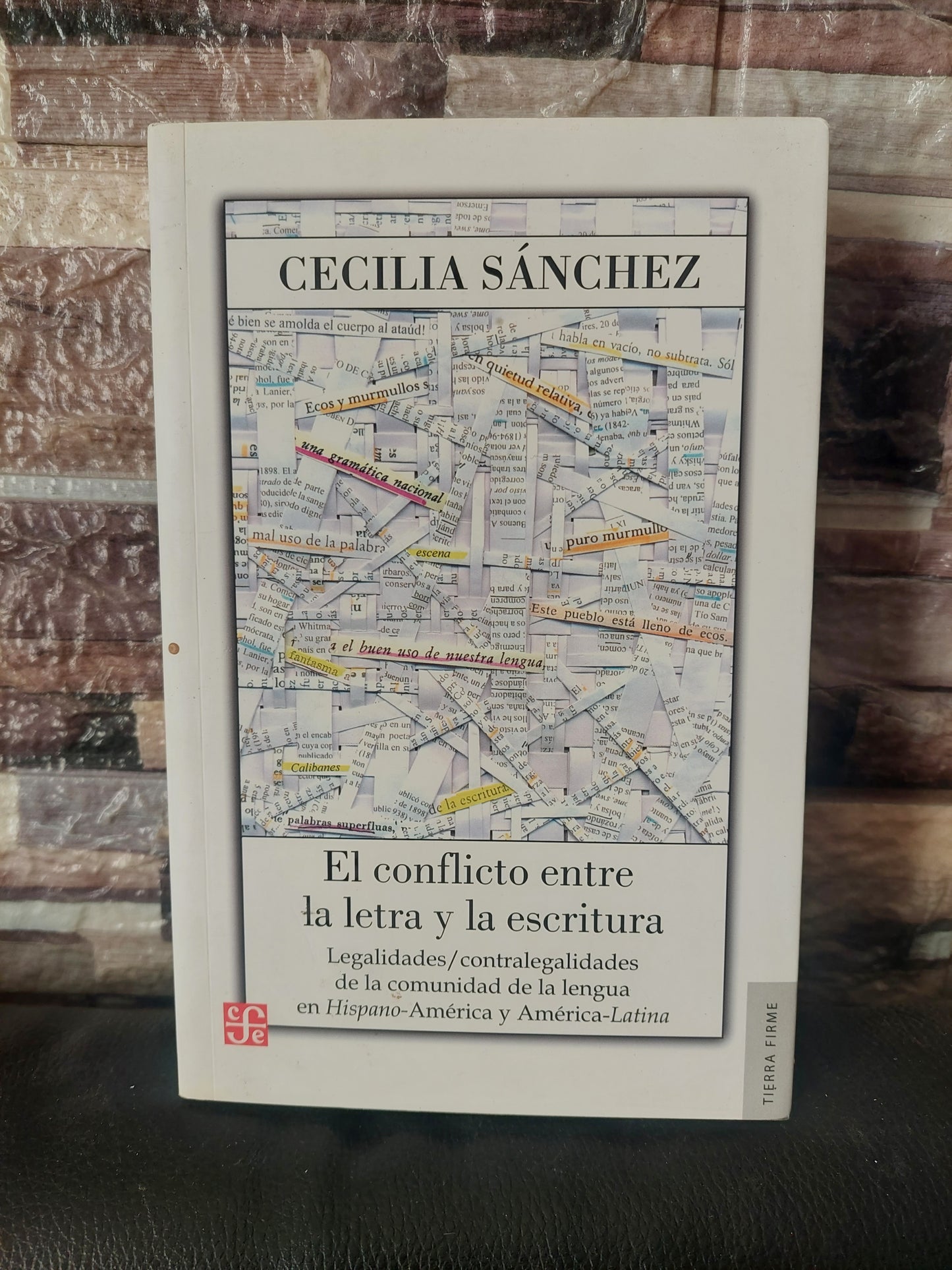El conflicto entre la letra y la escritura - Cecilia Sanchez