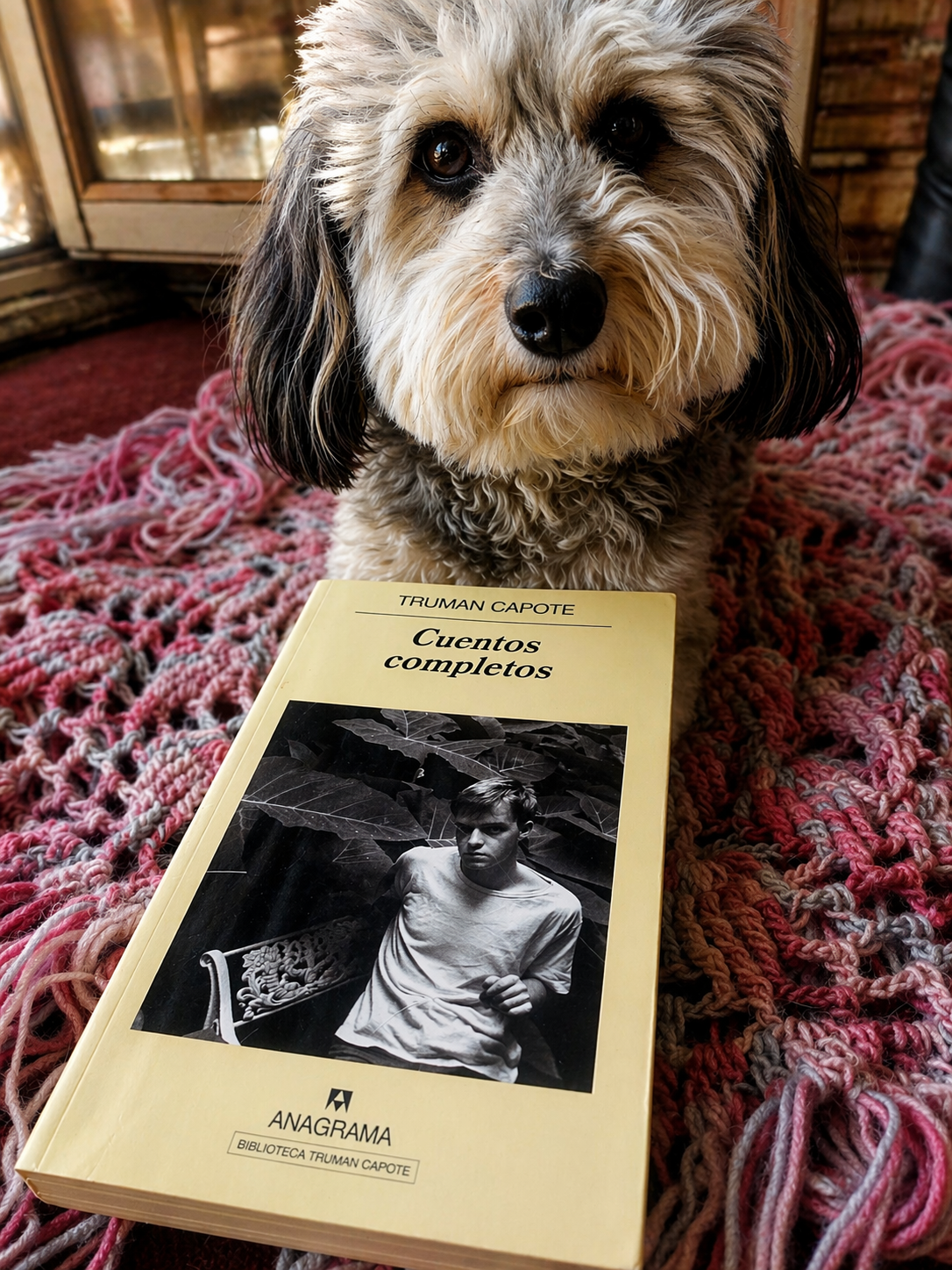 Cuentos completos Truman Capote