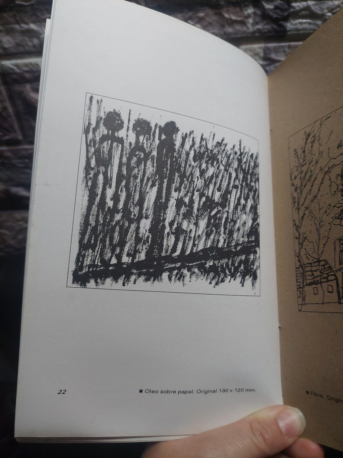 50 dibujos - Eva Olivetti