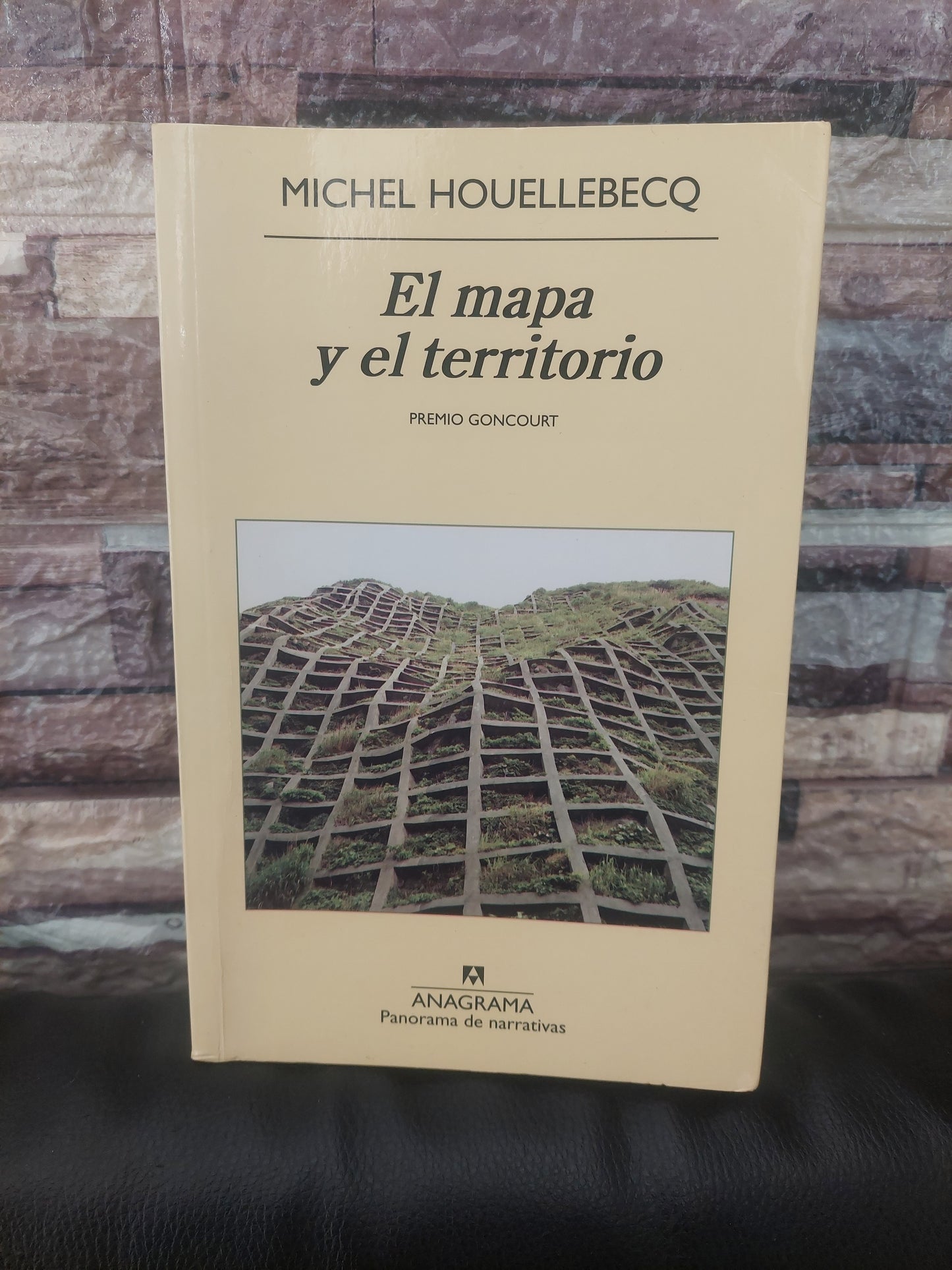 El mapa y el territorio - Michel Houellebecq