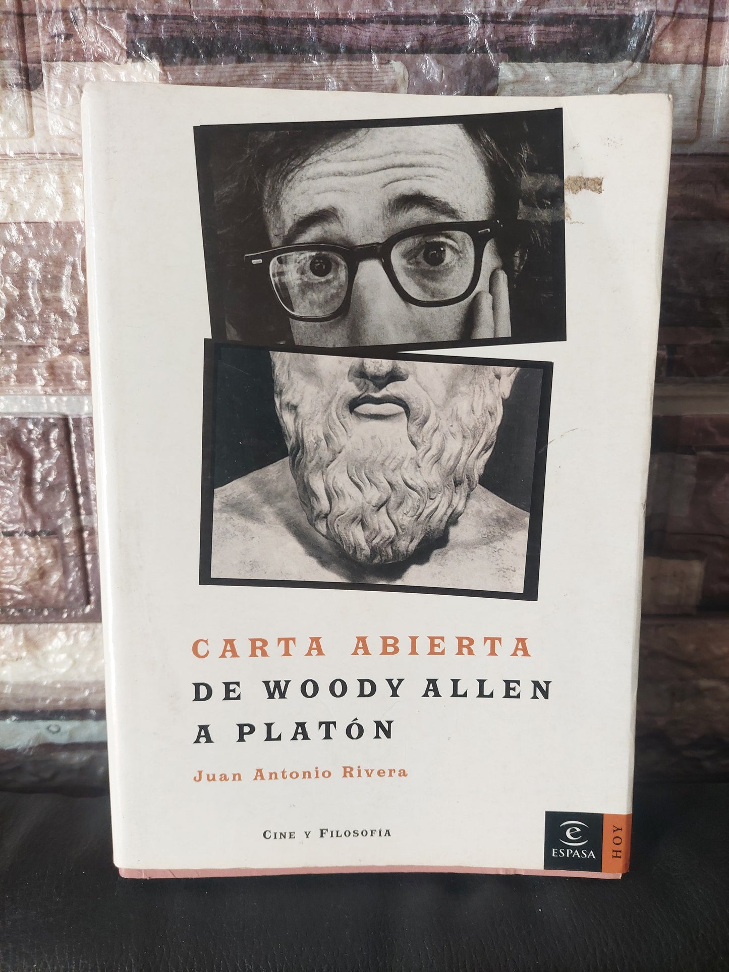 Carta abierta de Woody Allen a Platón - Juan Antonio Rivera