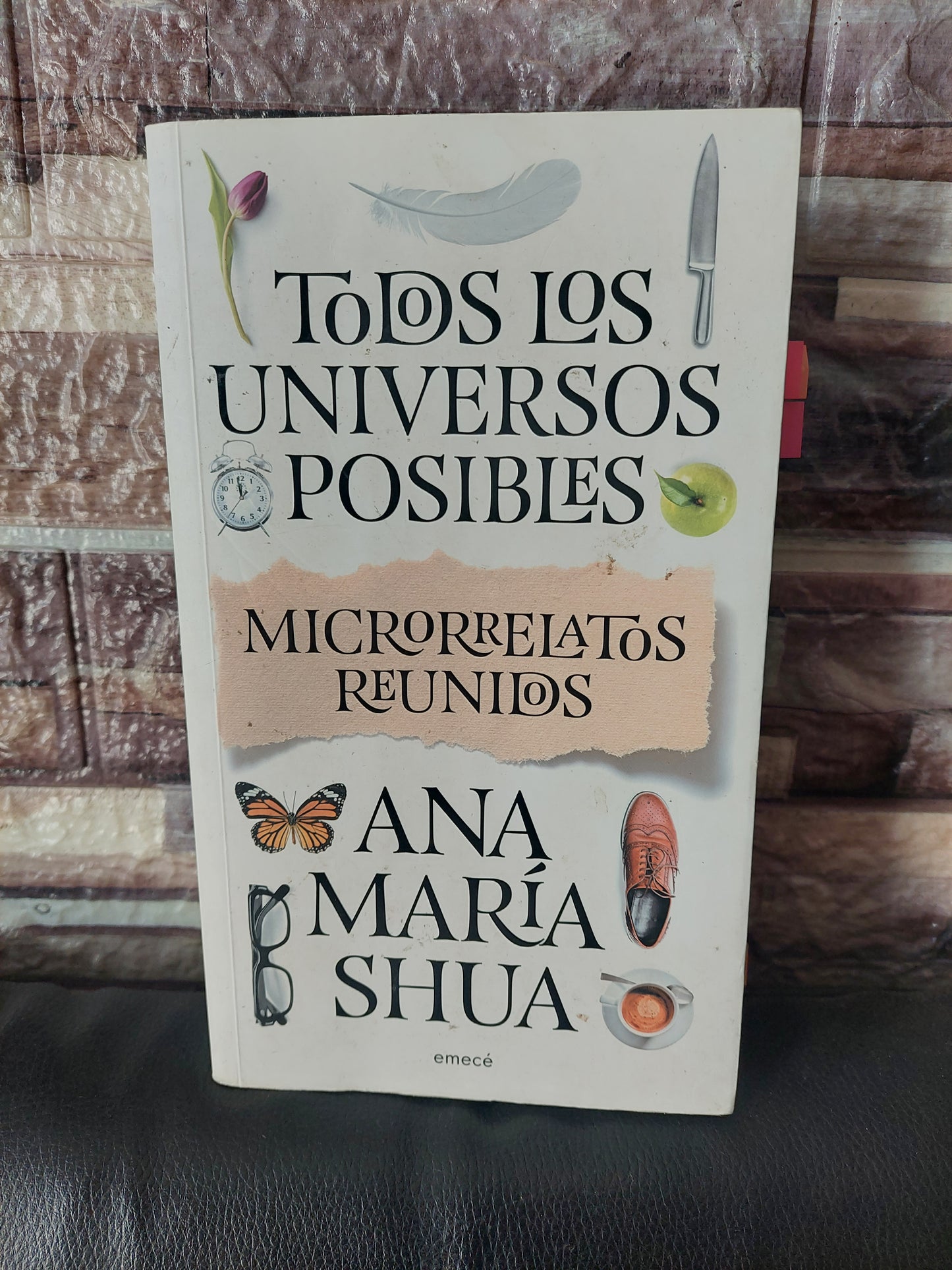 Todos los universos posibles - Ana Maria Shua