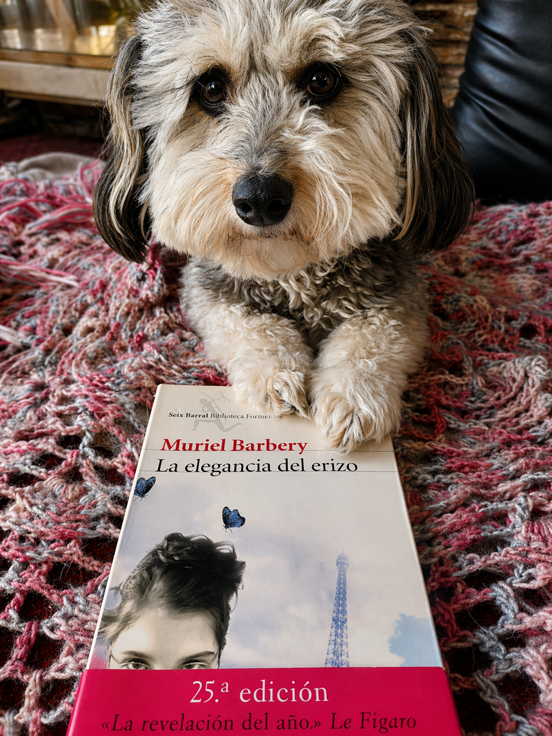 La elegancia del erizo - Muriel Barbery