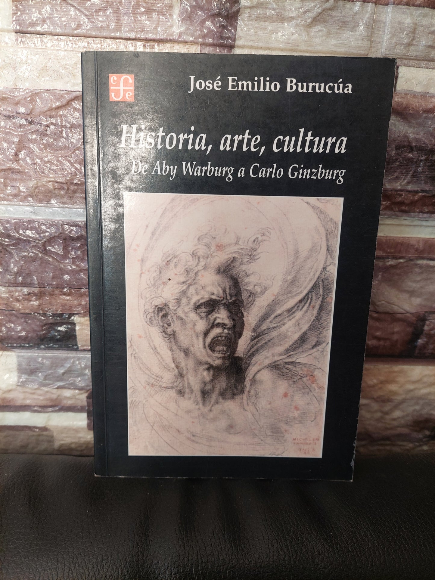 Historia, arte, cultura. De Aby Warburg a Carlo Ginzburg - José Emilio Burucúa