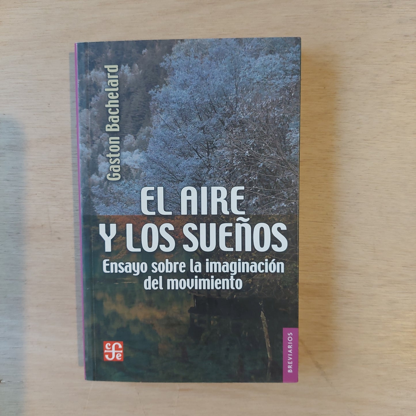 El aire y los sueños. Ensayo sobre la imaginación del movimiento - Gaston Bachelard