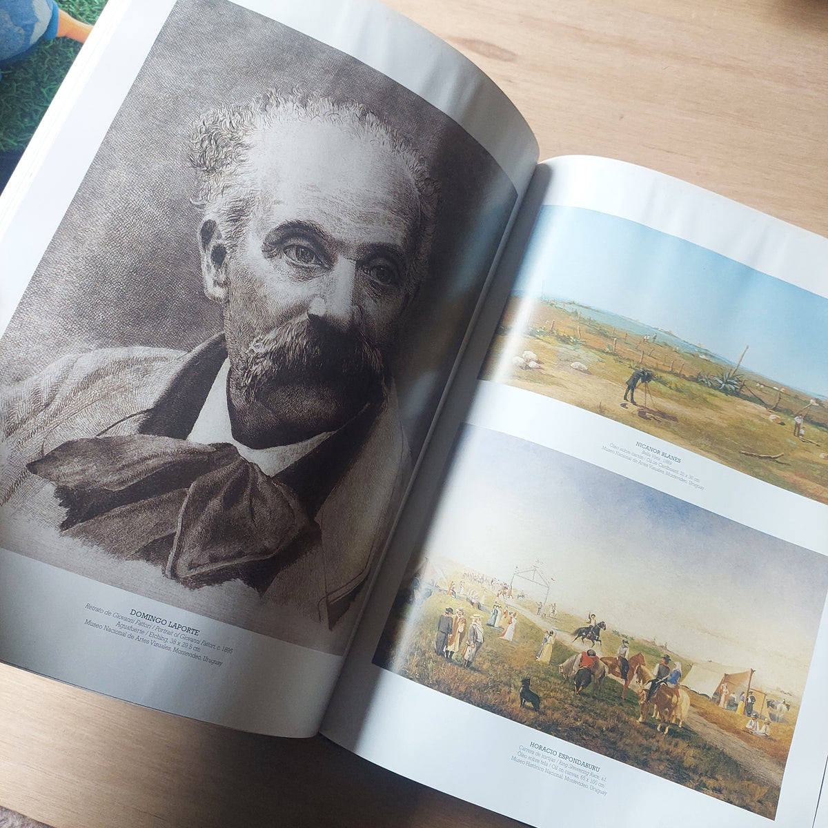 Artes visuales del Uruguay tomo 1 - Ángel Kalenberg (detalles de humedad)