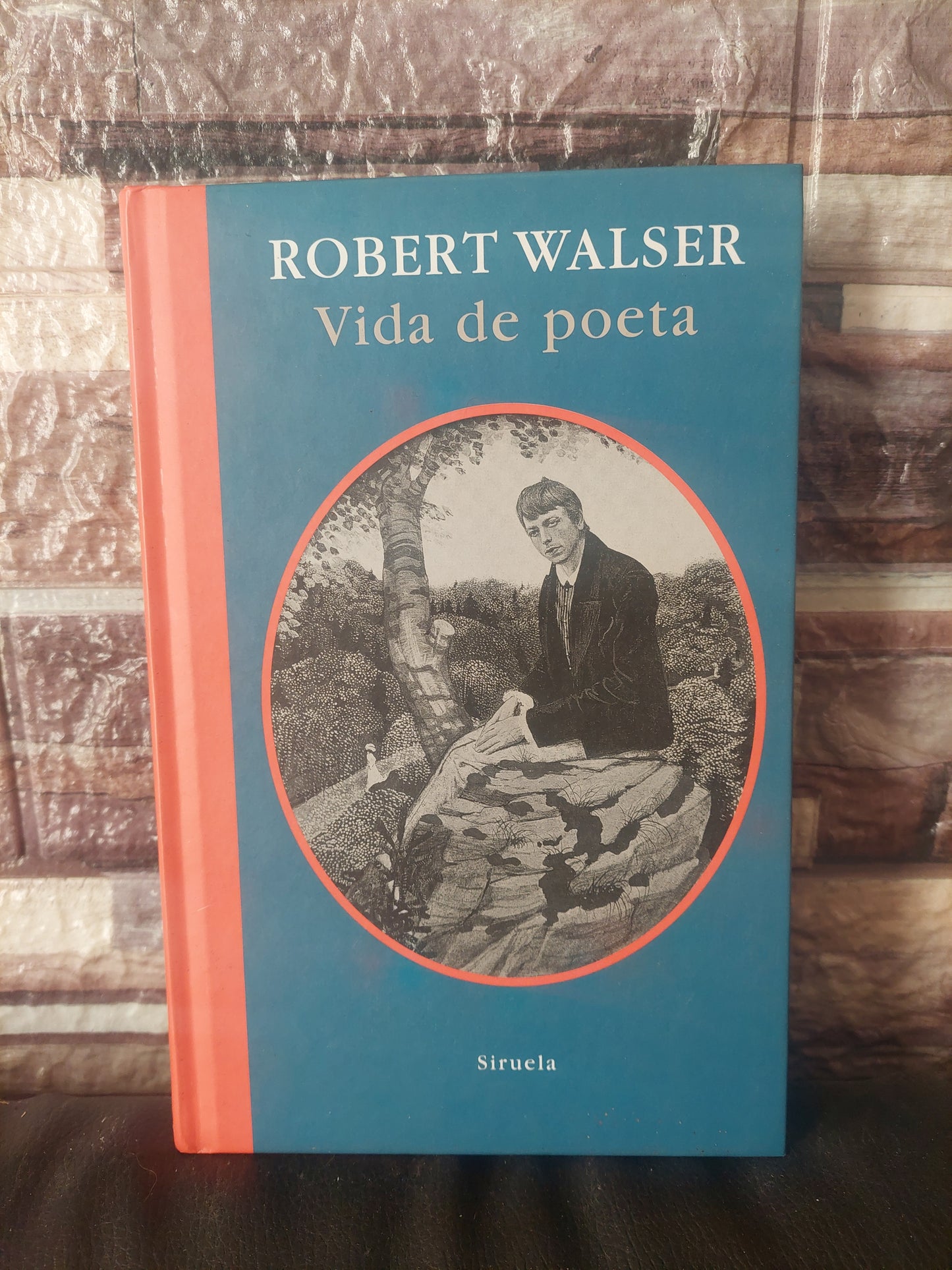 Vida de poeta - Robert Walser