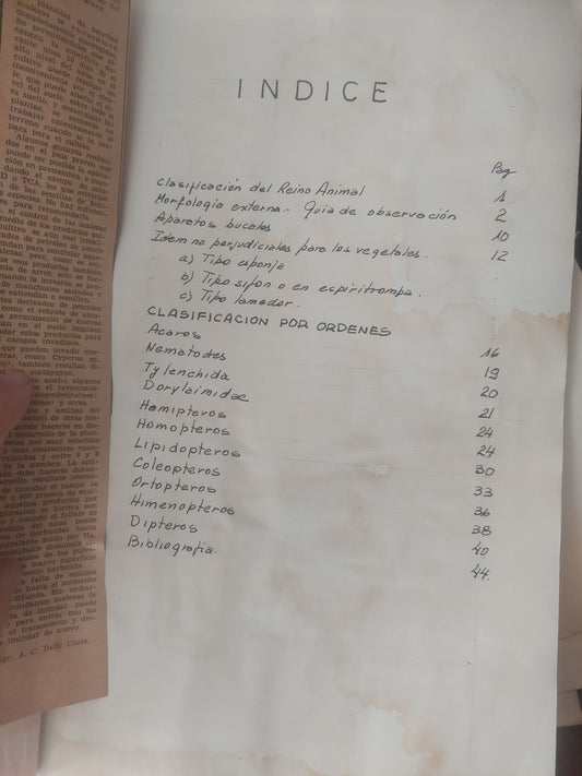 Plagas de plantas ornamentales - Rodriguez y Scherma