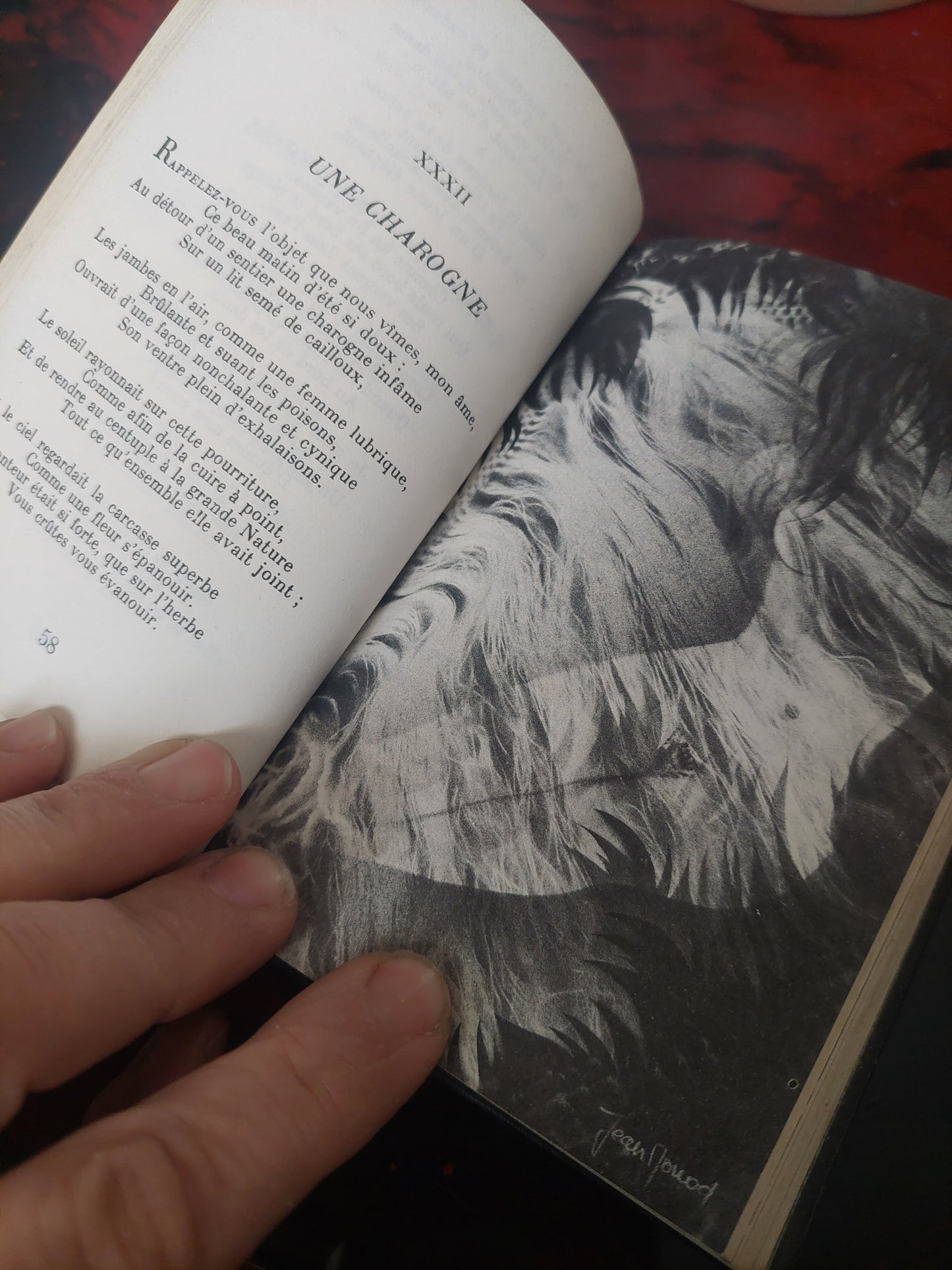 Les fleurs du mal - Charles Baudelaire