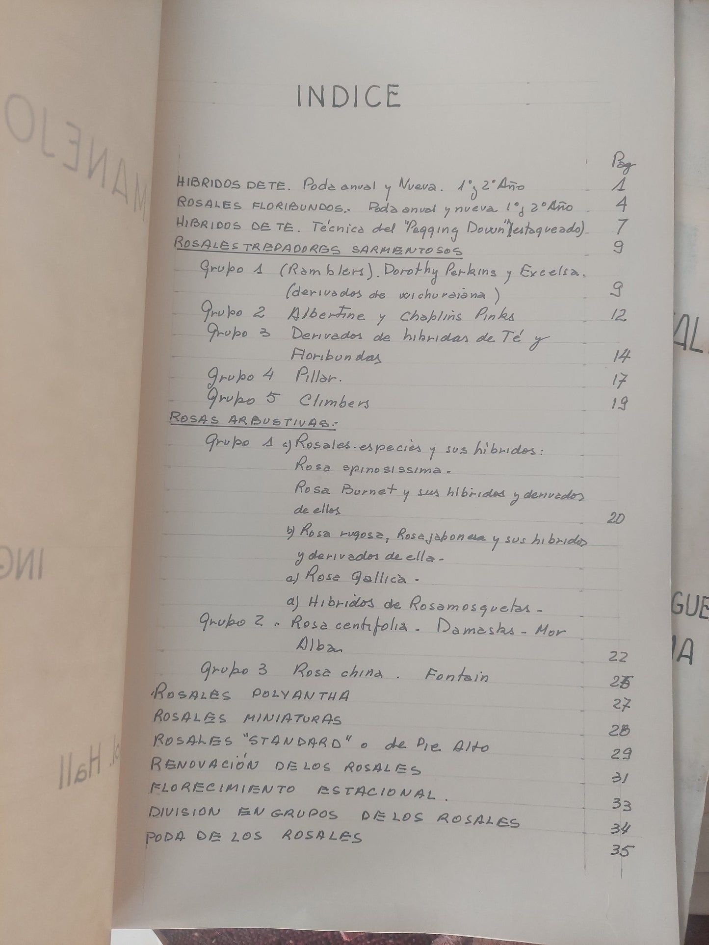 Manejo de los rosales - ING. Agr. Martha E. Álvarez
