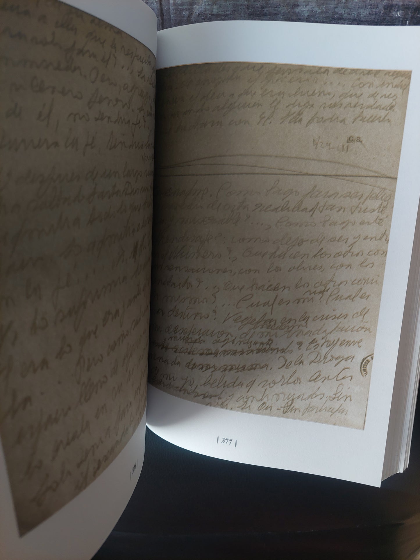 Archivos ficcionales: La sobreviviente de Clara Silva - Elena Romiti (subrayado)