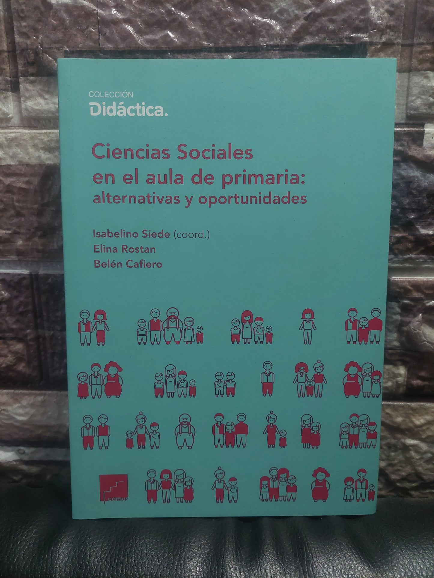 Ciencias sociales en el aula de primaria: alternativas y oportunidades - Siede, Rostan, Cafiero (como nuevo)