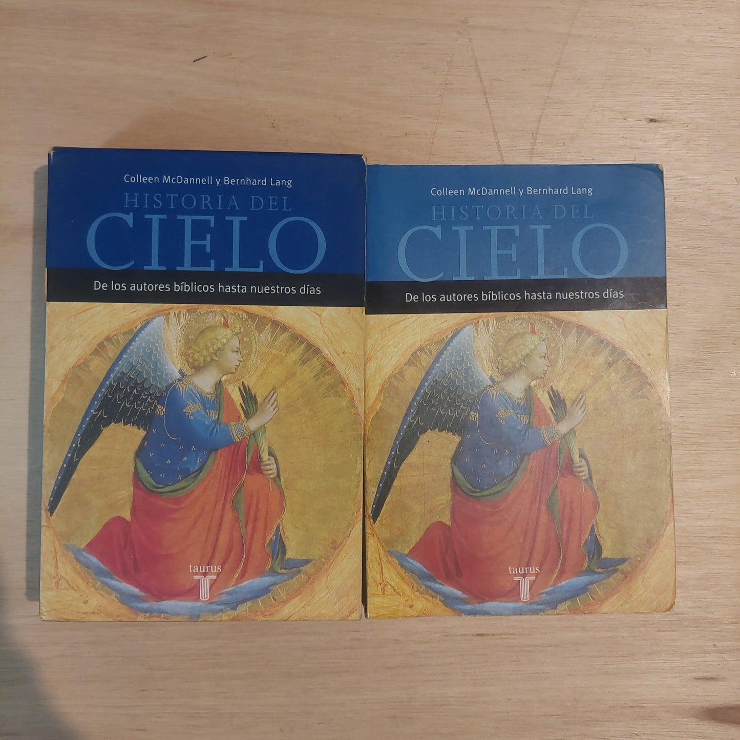 Historia del cielo. De los autores bíblicos hasta nuestros días - McDannell y Lang. Con estuche