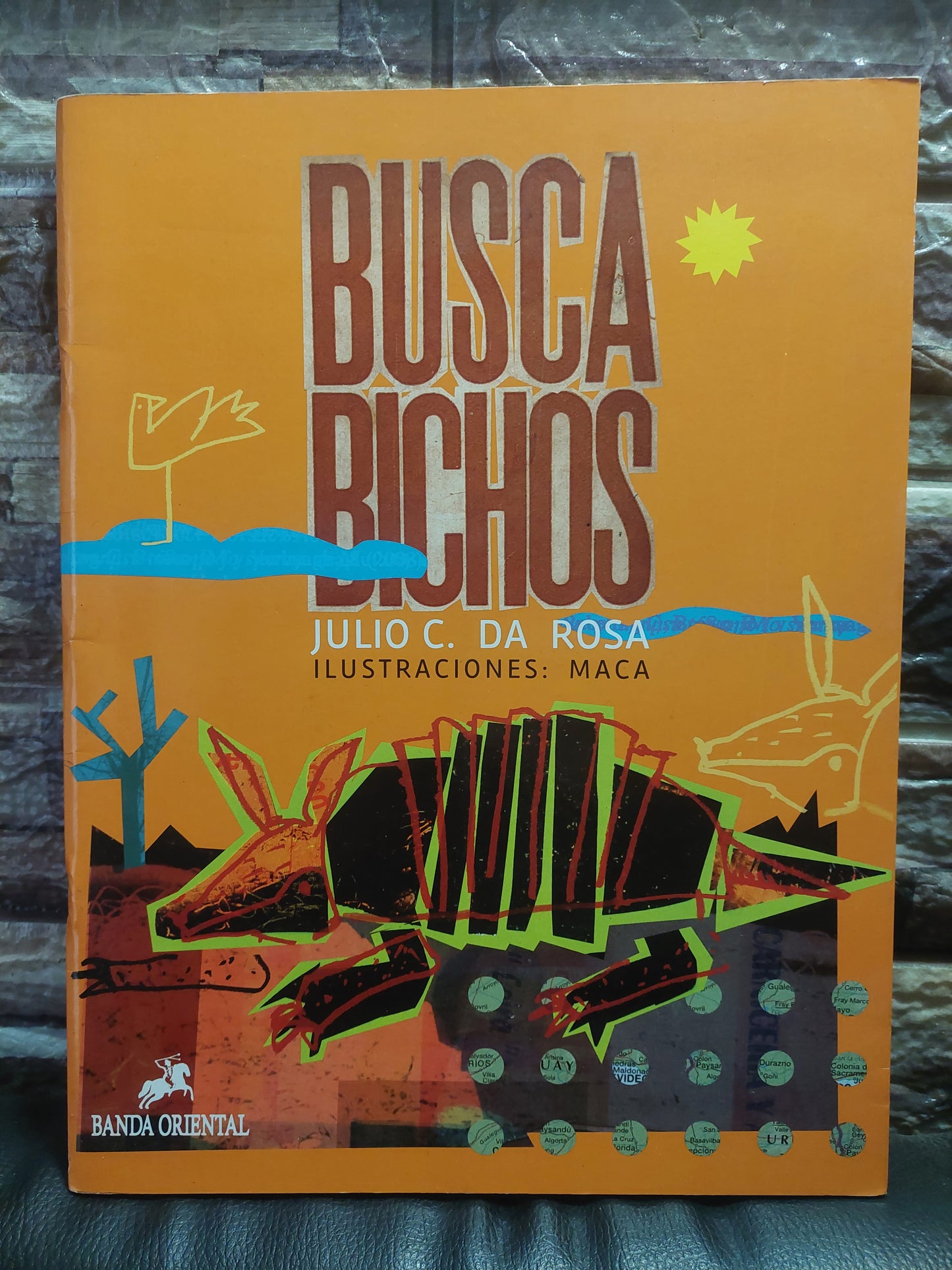 Busca Bichos - Julio C. Da Rosa. Ilustraciones de Maca (como nuevo)