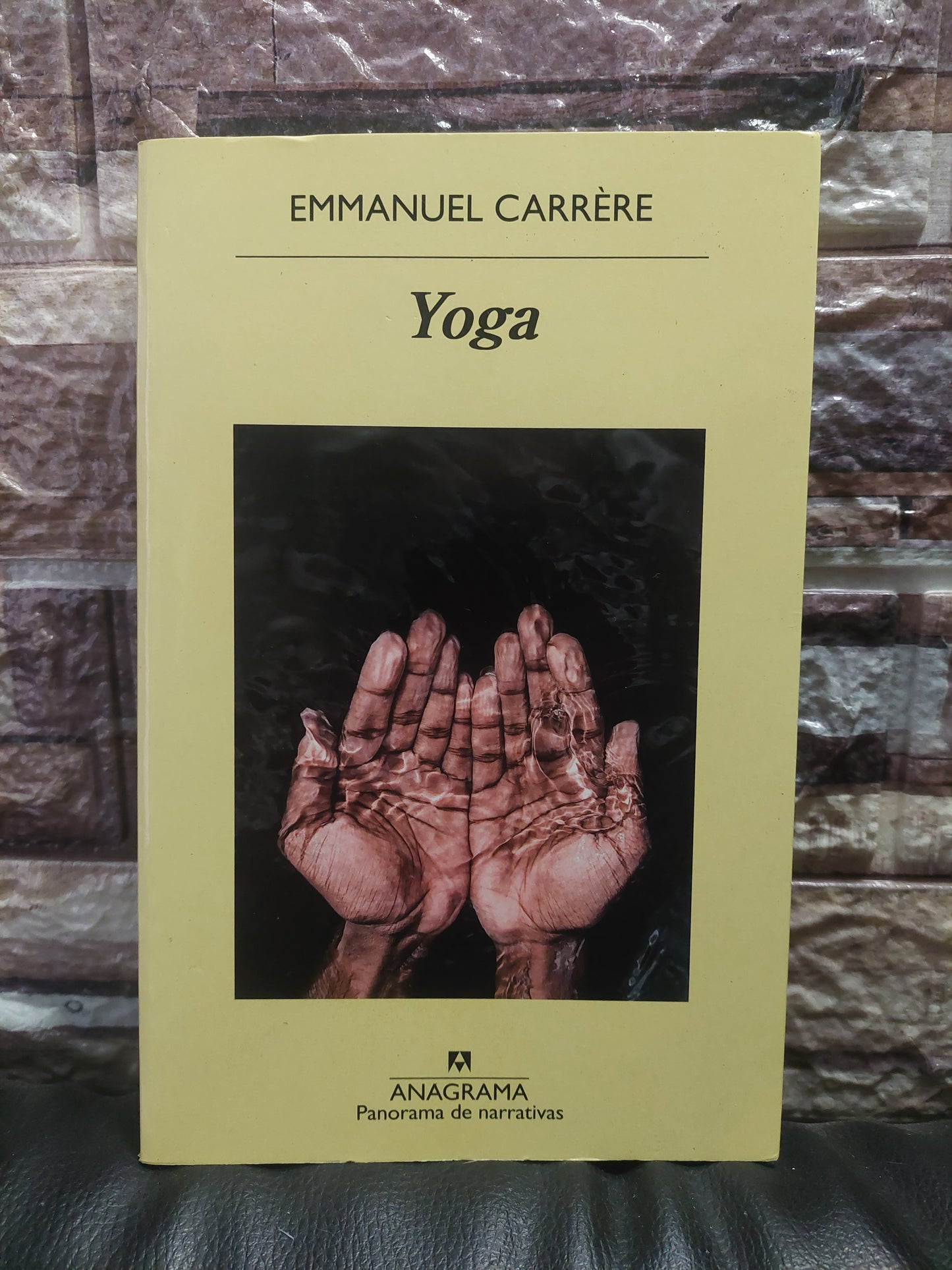 Yoga - Emmanuel Carrére