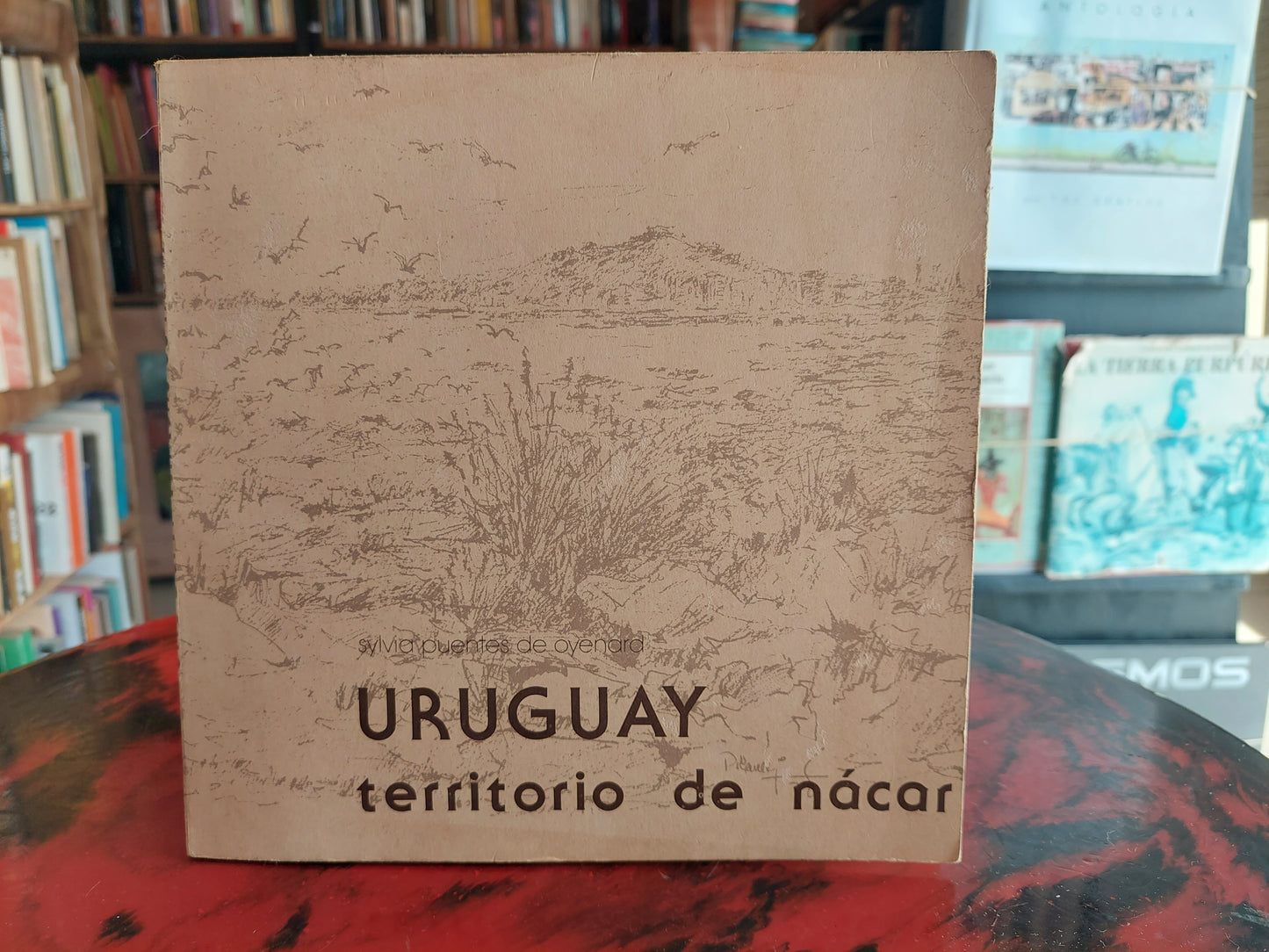 Uruguay, territorio de nácar - Sylvia Puentes de Oyenard