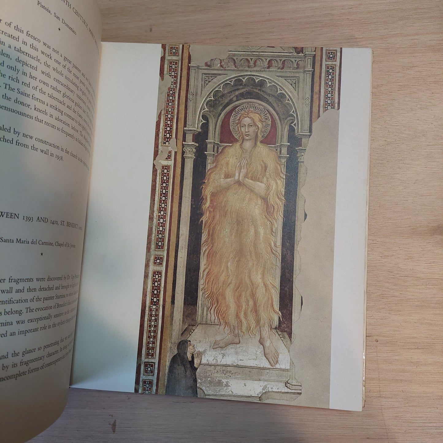 The great art of fresco - Millard Meiss