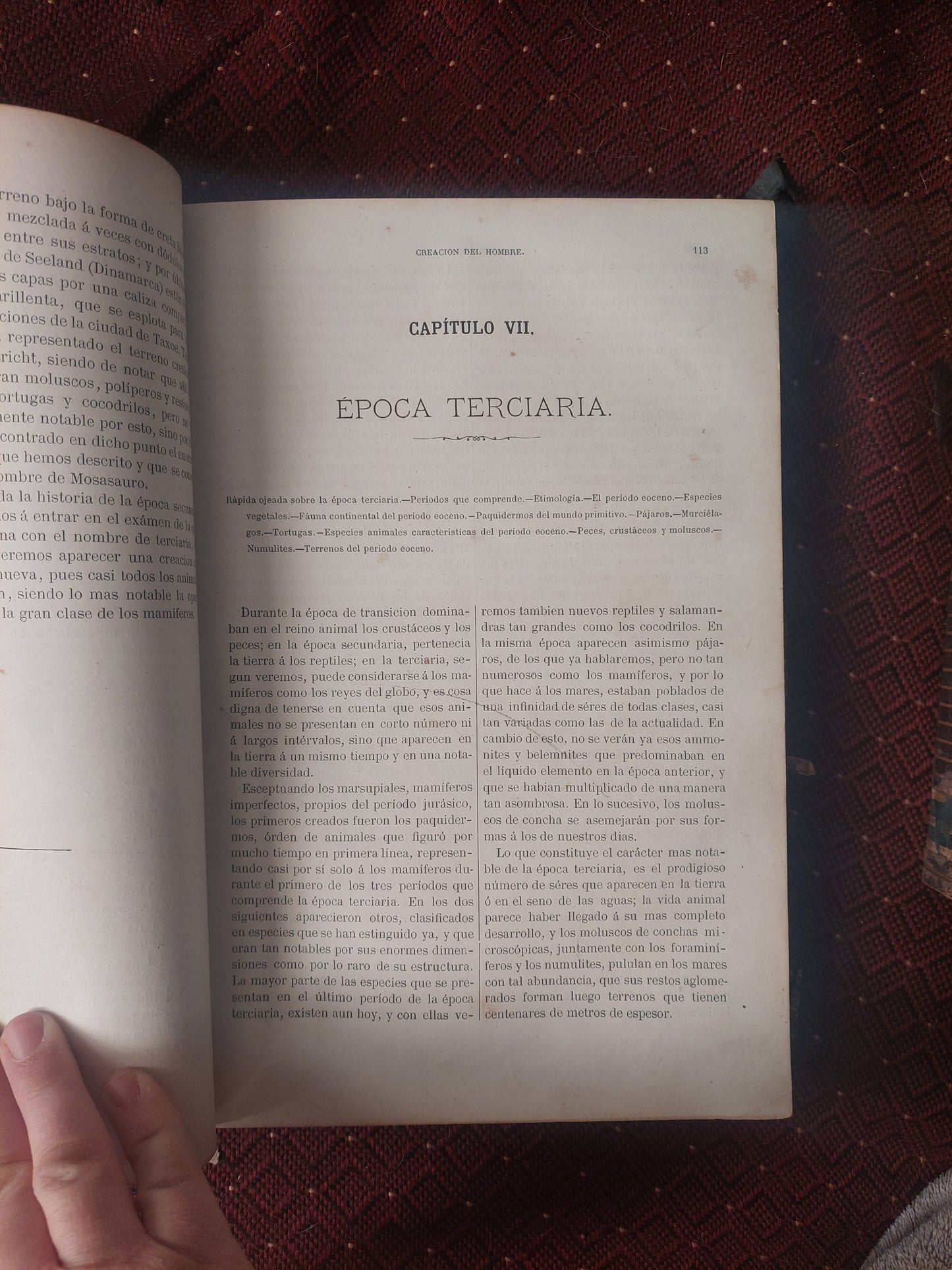 El mundo antes de la creacion del hombre - Figuier y Zimmermann (1872)