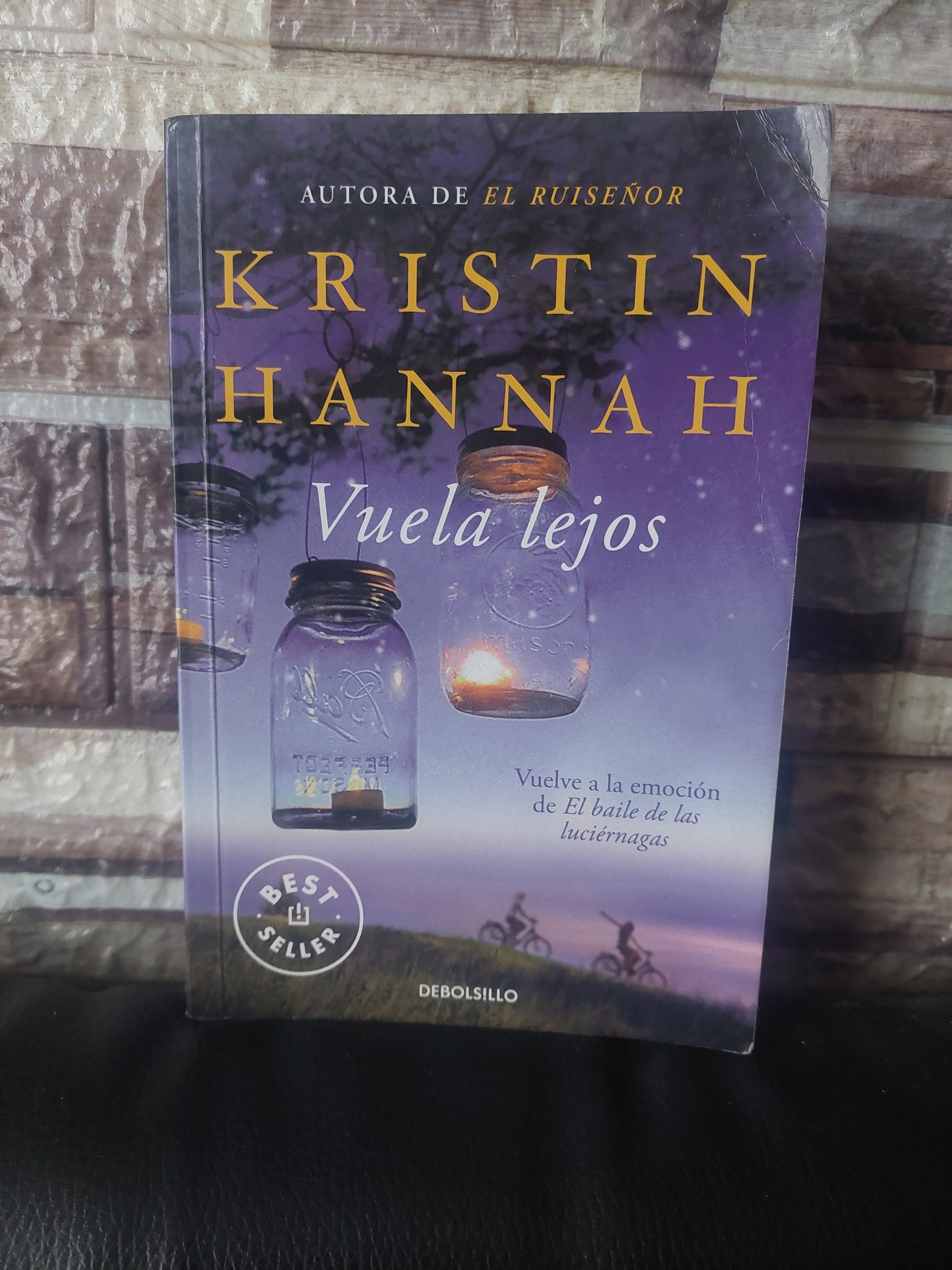 Vuela lejos - Kristin Hannah