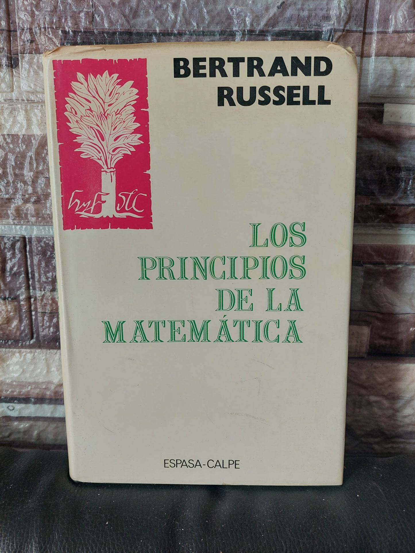 Los principios de la matemática - Bertrand Russell