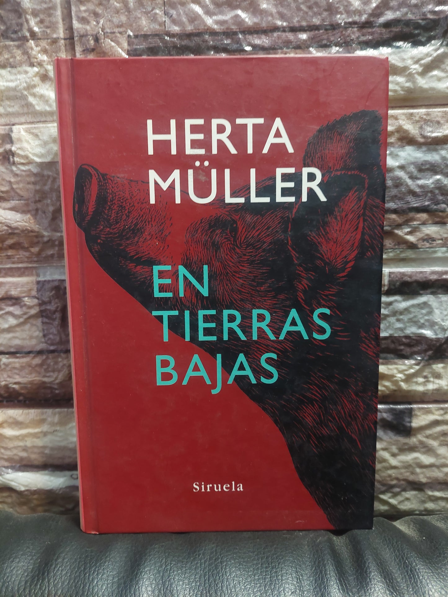 En tierras bajas - Herta Muller