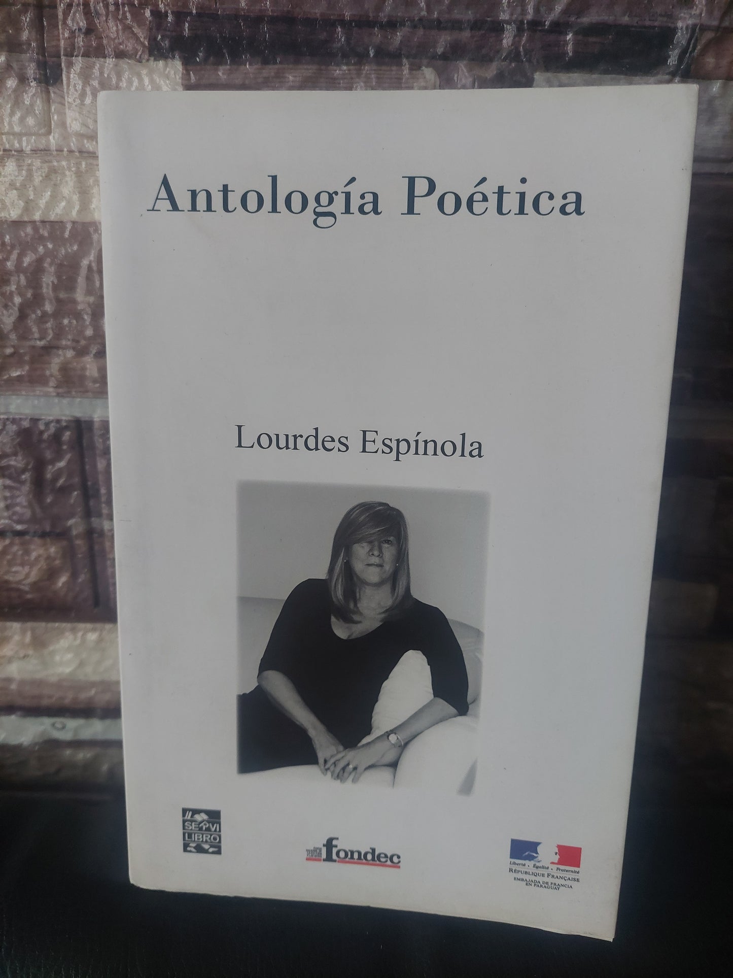 Antología poética Lourdes Espínola