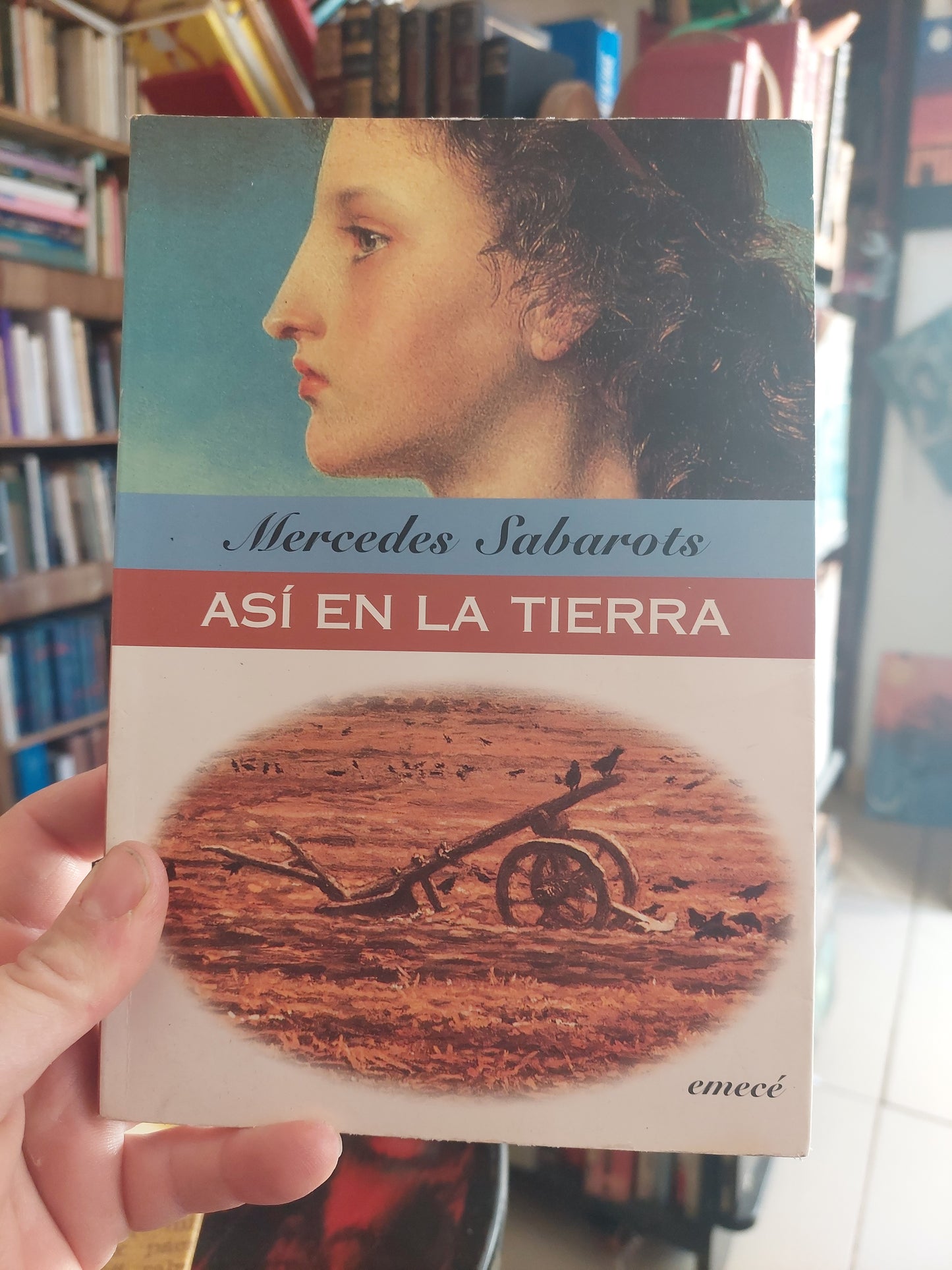 Así en la tierra - Mercedes Sabarots