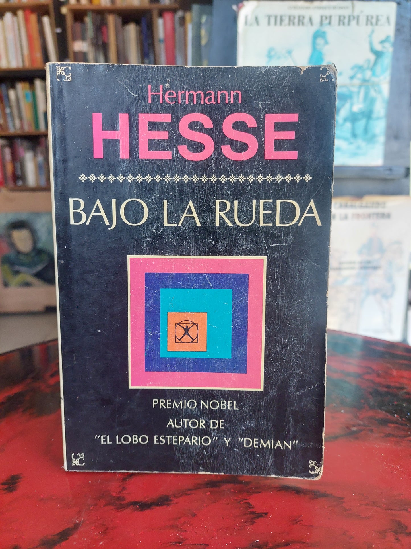 Bajo la rueda - Hermann Hesse