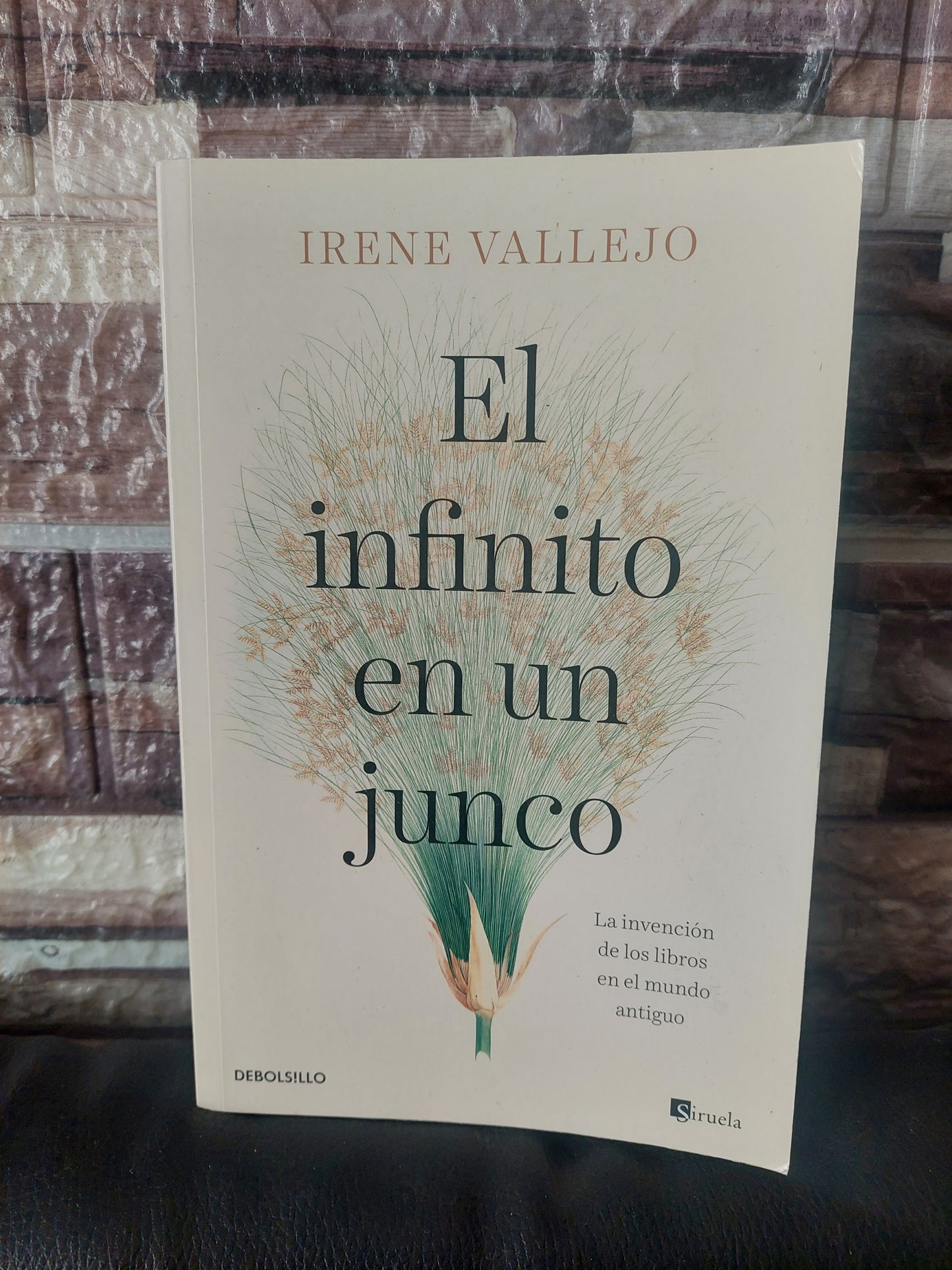 El infinito en un Junco - Irene Vallejo (como nuevo)