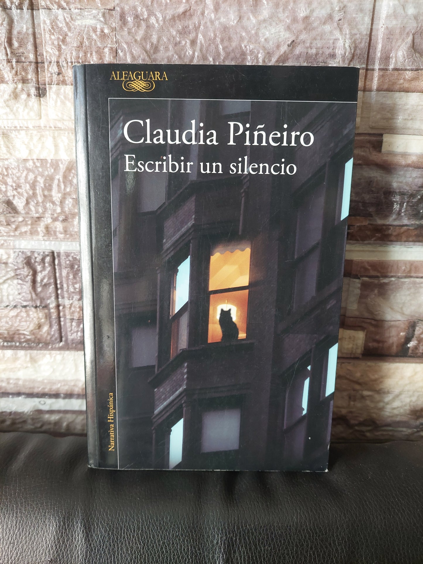 Escribir un silencio - Claudia Piñeiro