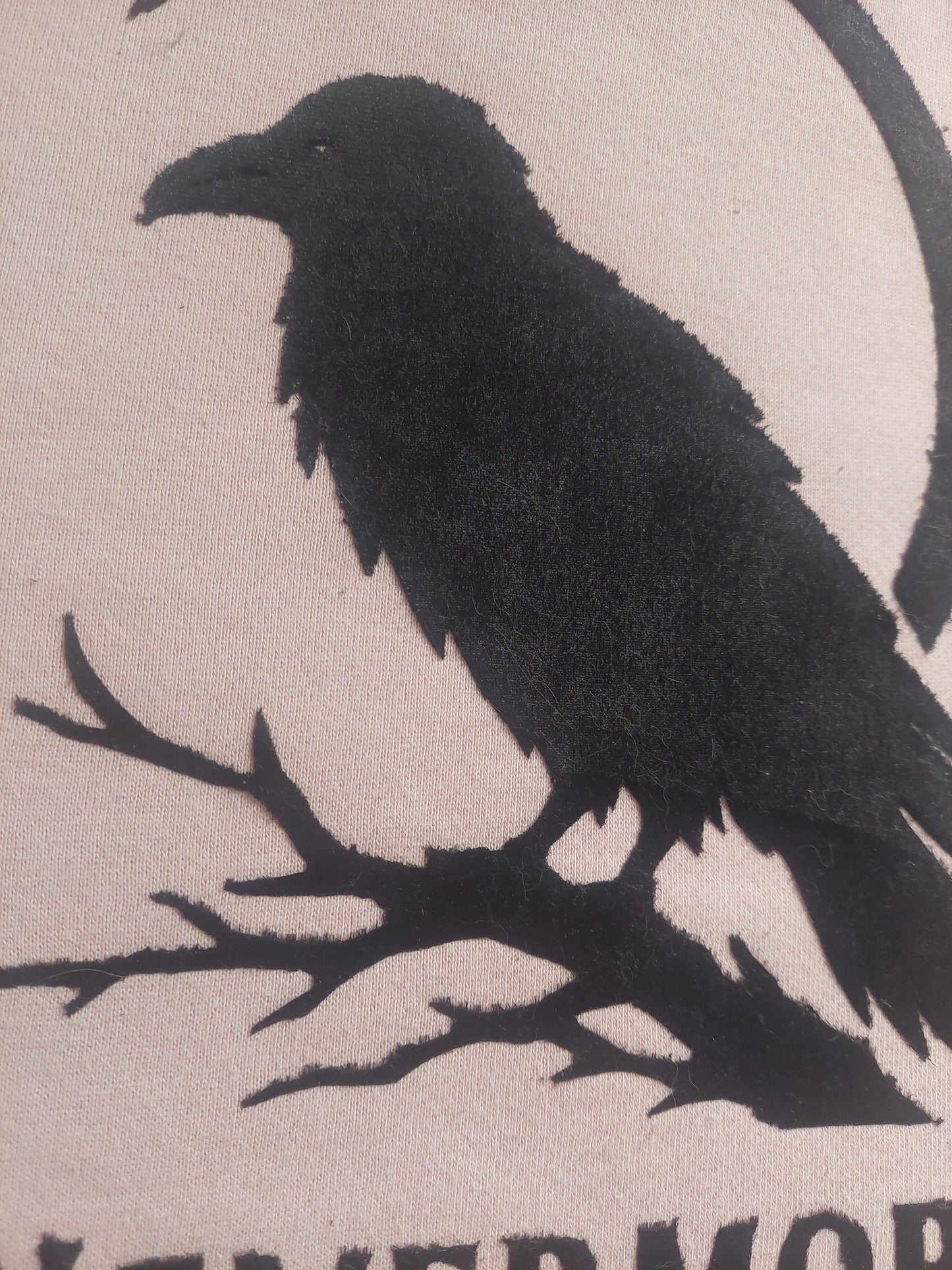 Canguro Nevermore 📖