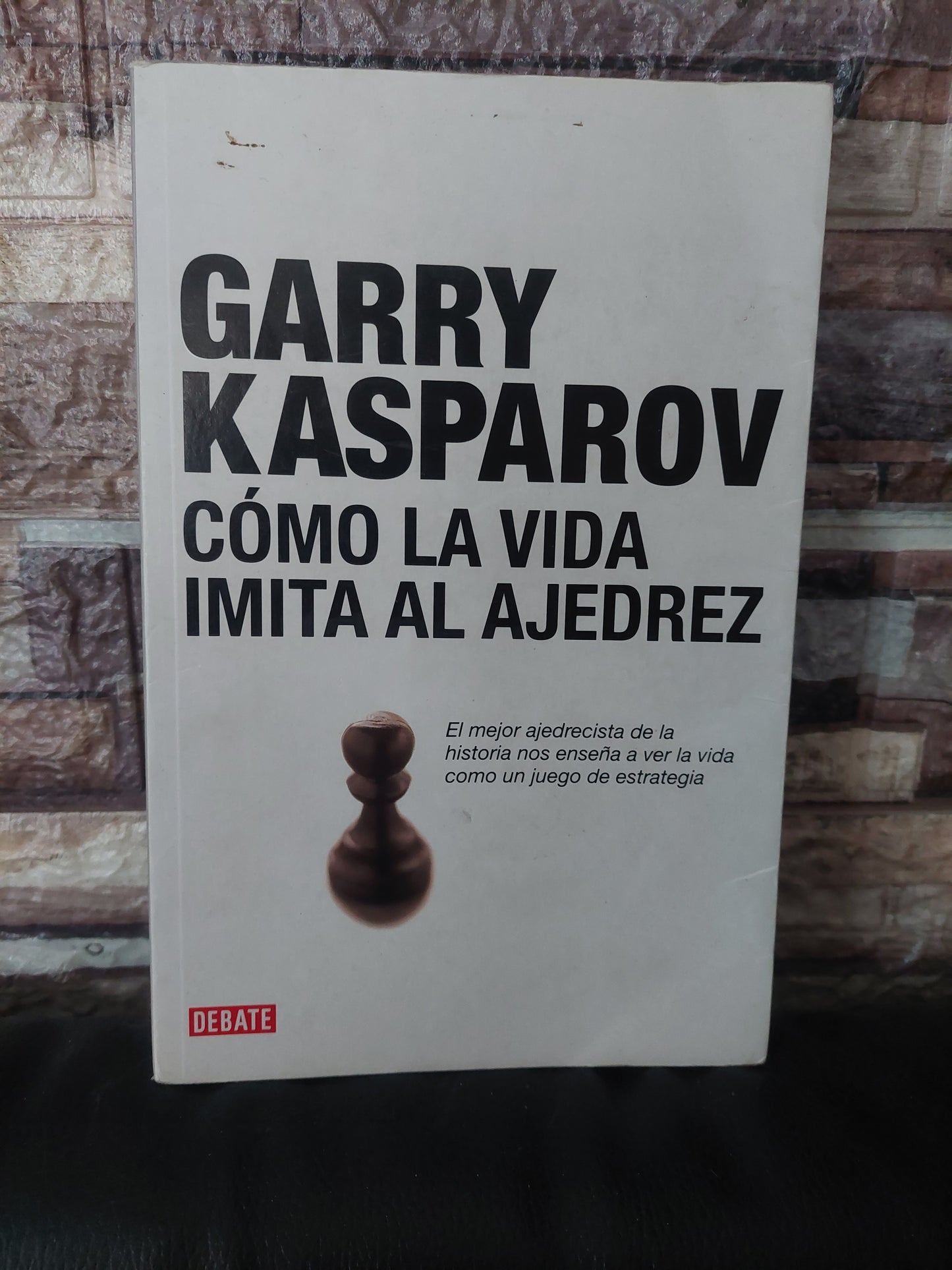 Cómo la vida imita al ajedrez - Garry Kasparov