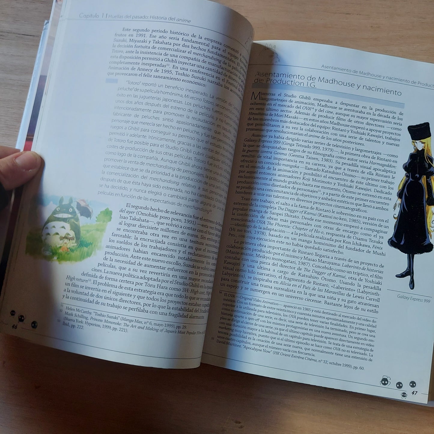 El mundo invisible de Hayao Miyazaki - Laura Montero Plata