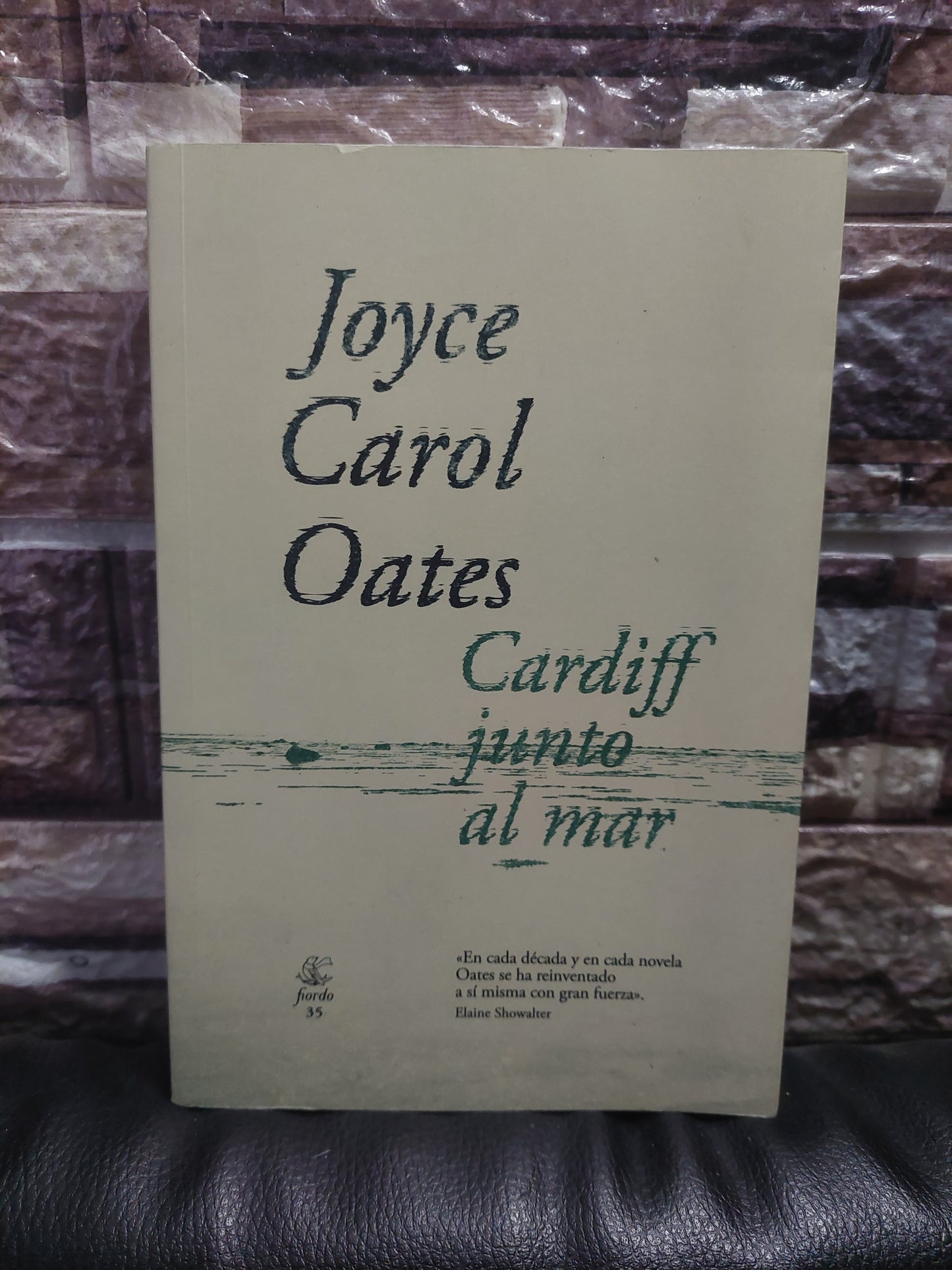 Cardiff junto al mar - Joyce Carol Oates (nuevo)