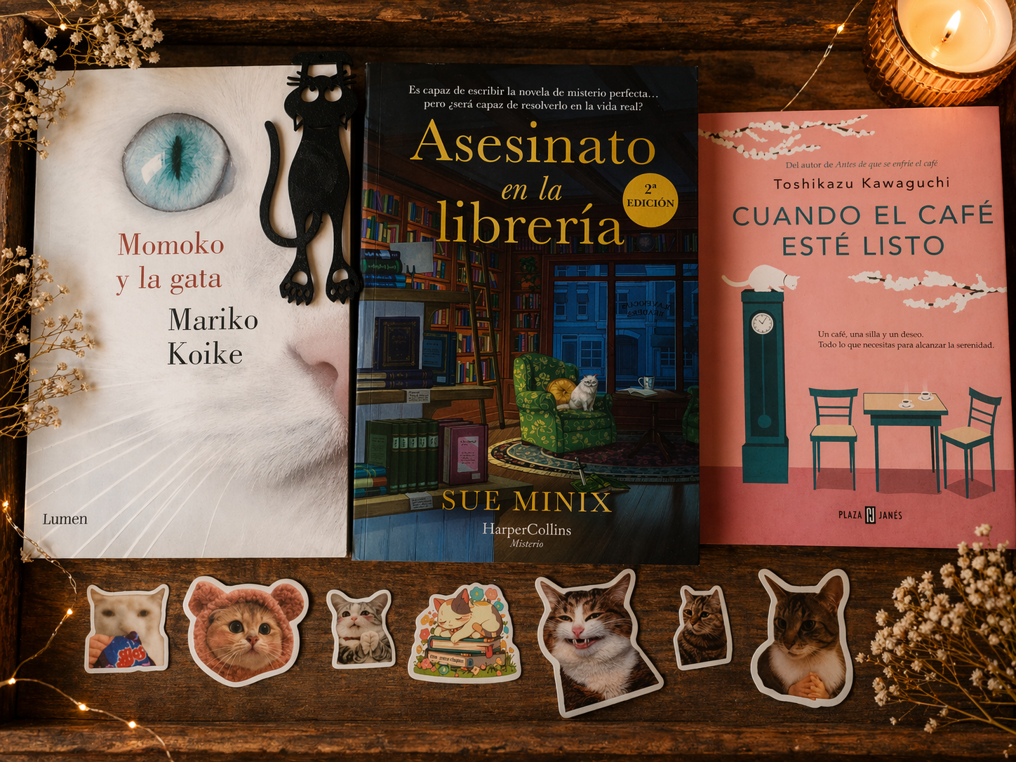 Packs especiales 🎁