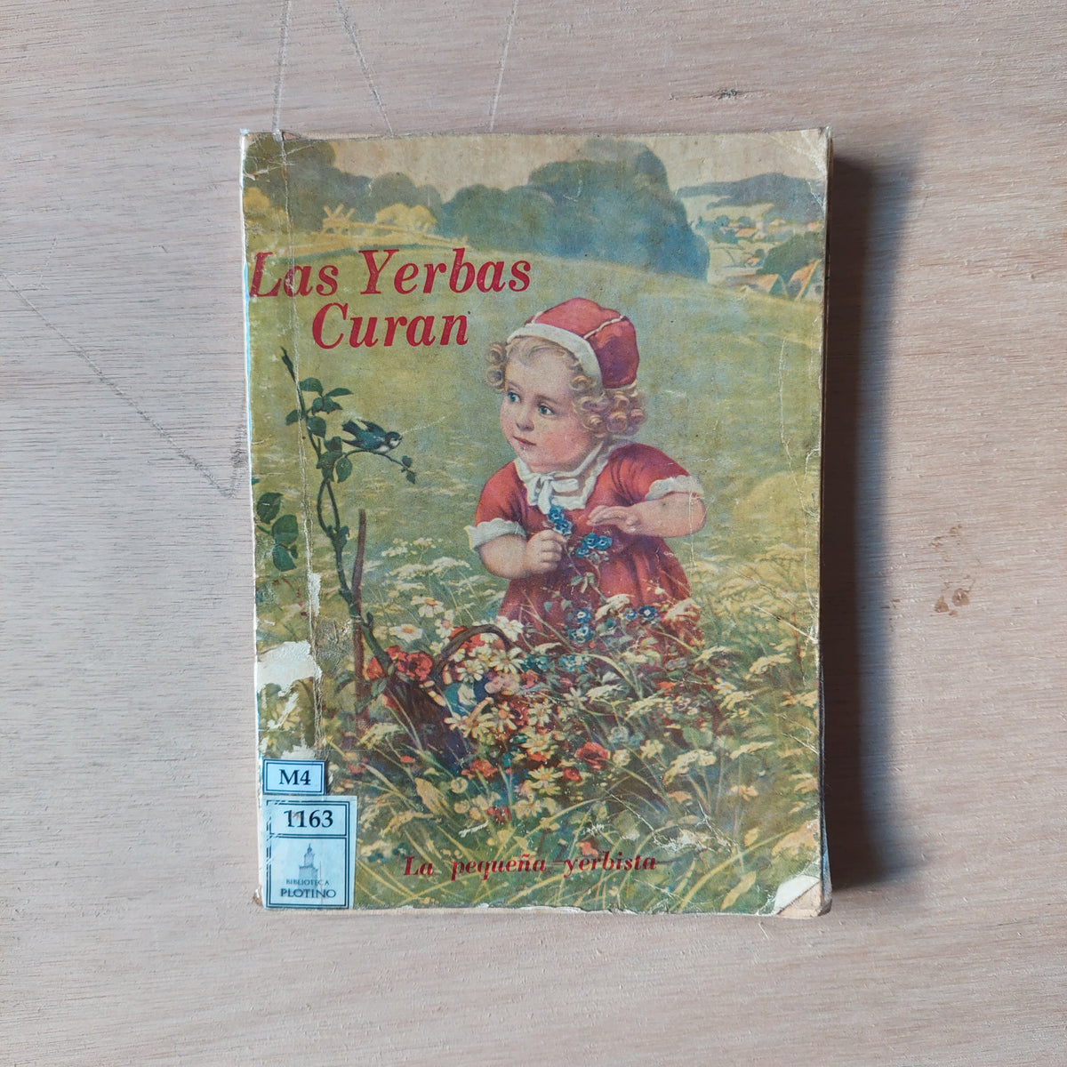 Las yerbas que curan