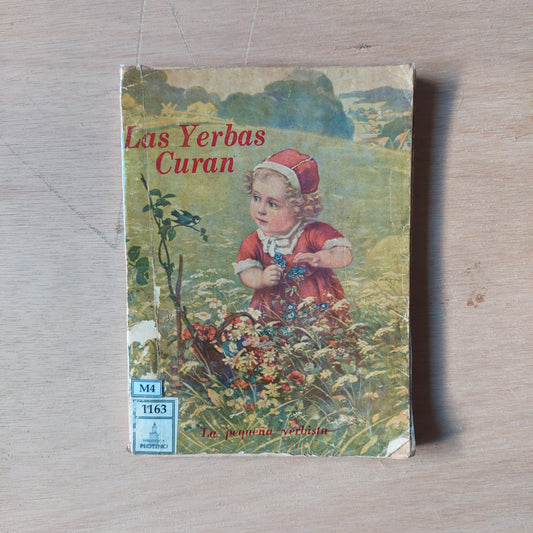 Las yerbas que curan