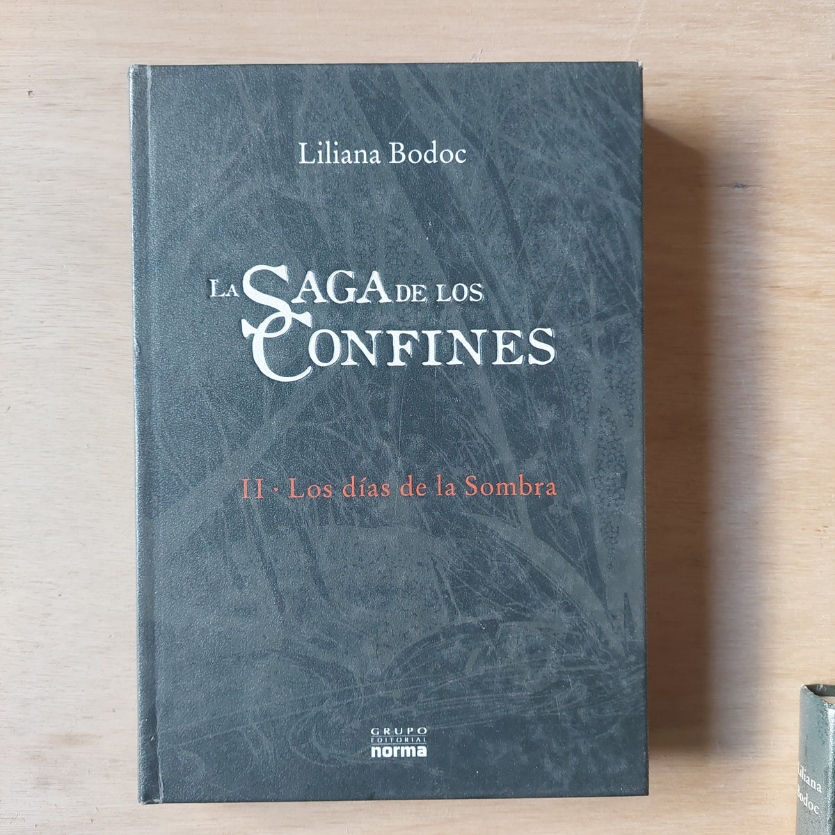 La saga de los confines II: Los días de la Sombra - Liliana Bodoc