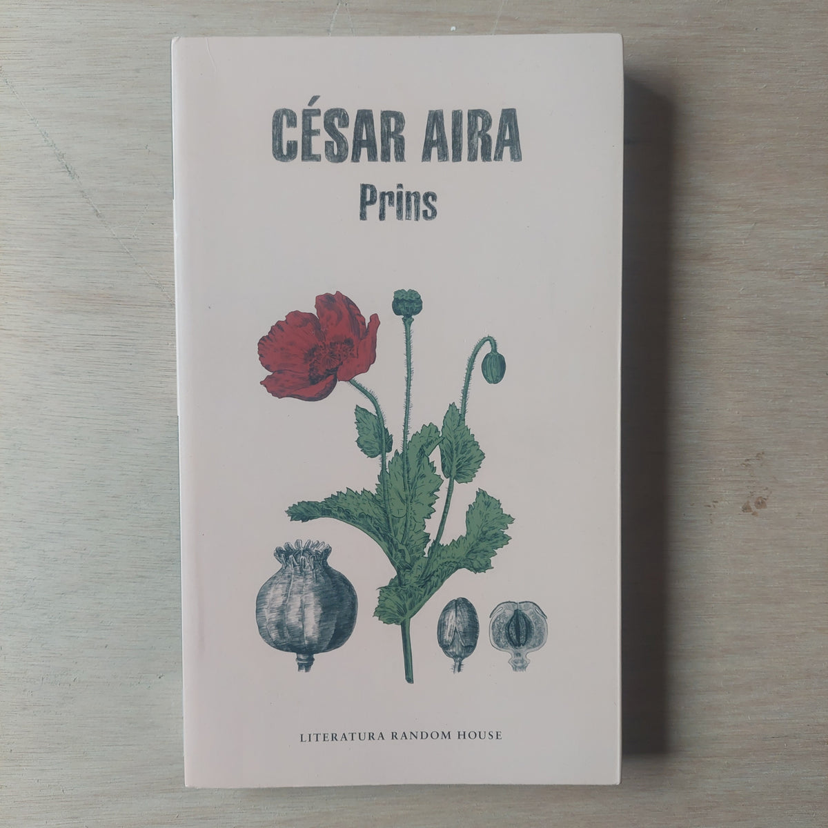 Prins - César Aira