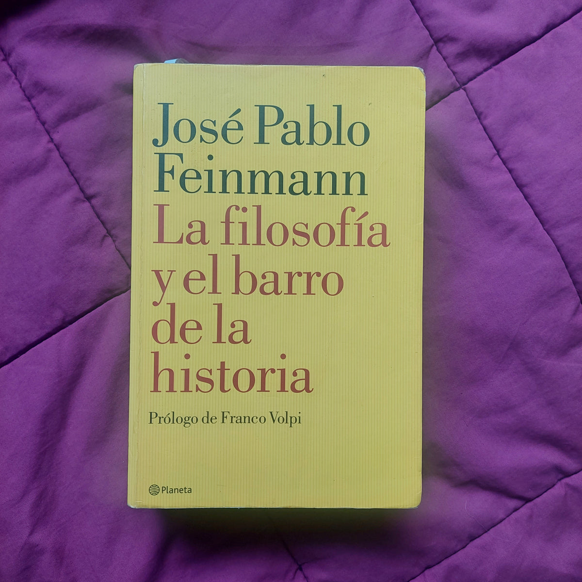 La filosofía y el barro de la historia - José Pablo Feinmann