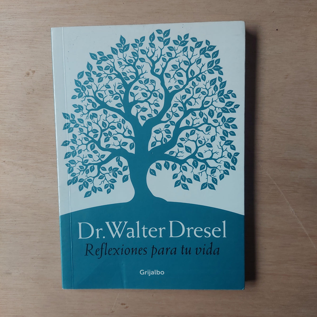 Reflexiones para tu vida - Walter Dresel