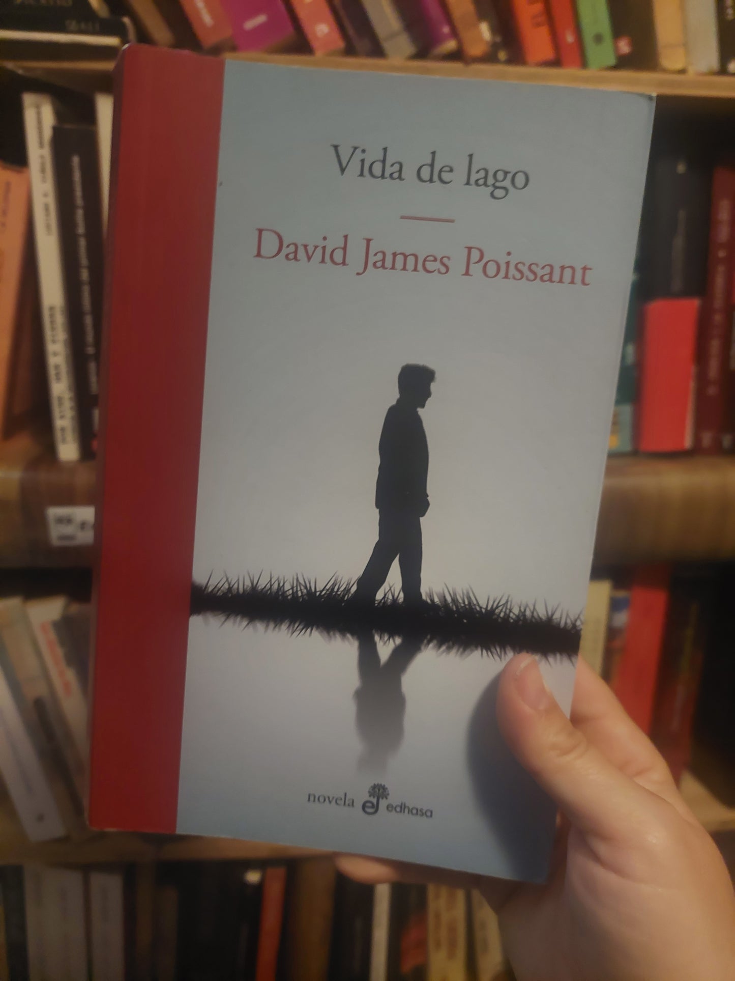 Vida De lago - David James Poissant