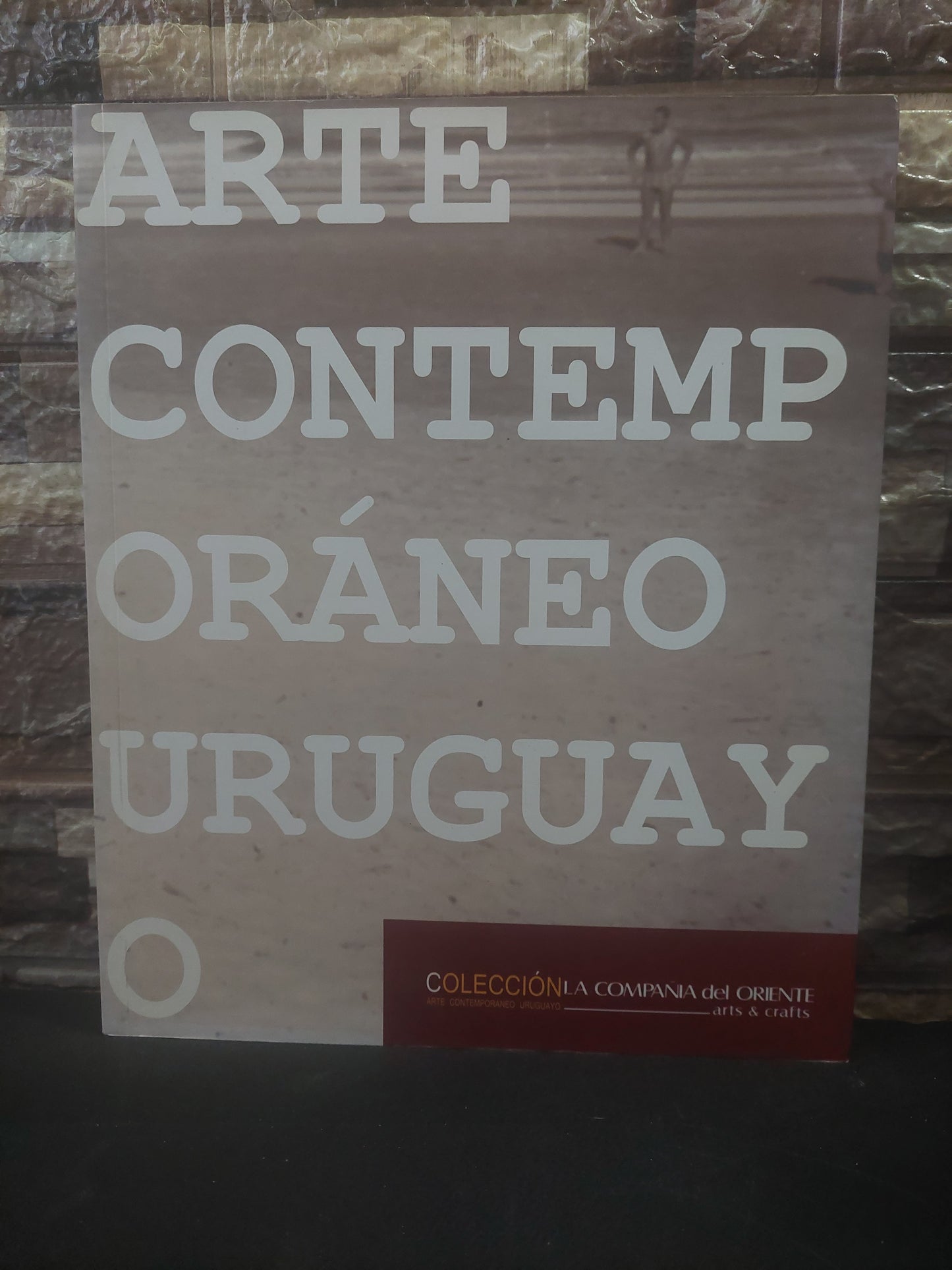 Arte contemporáneo uruguayo