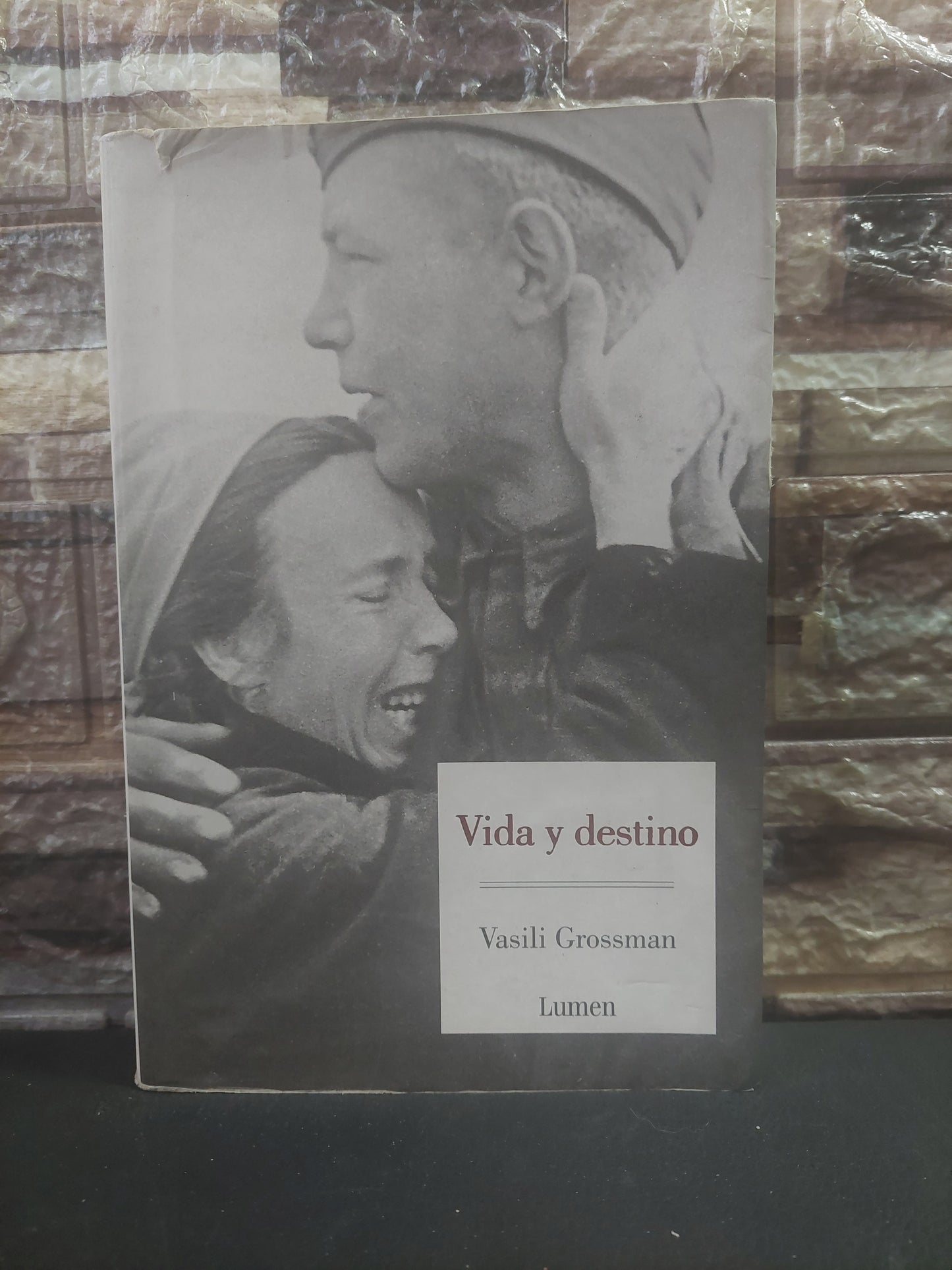 Vida y destino - Vasili Grossman