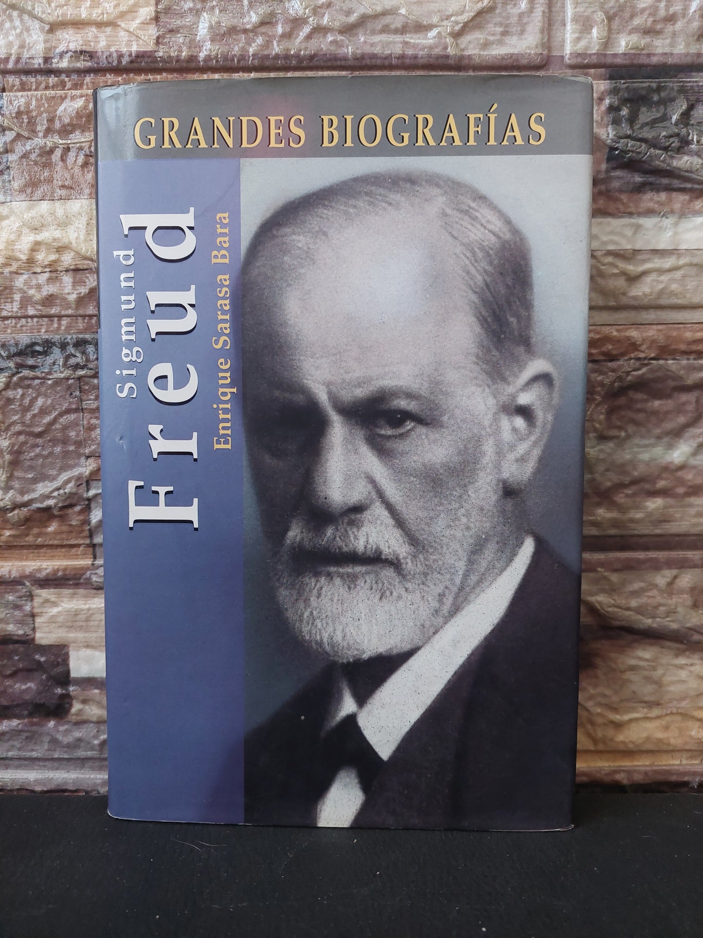 Sigmund Freud - Enrique Sarasa Bara