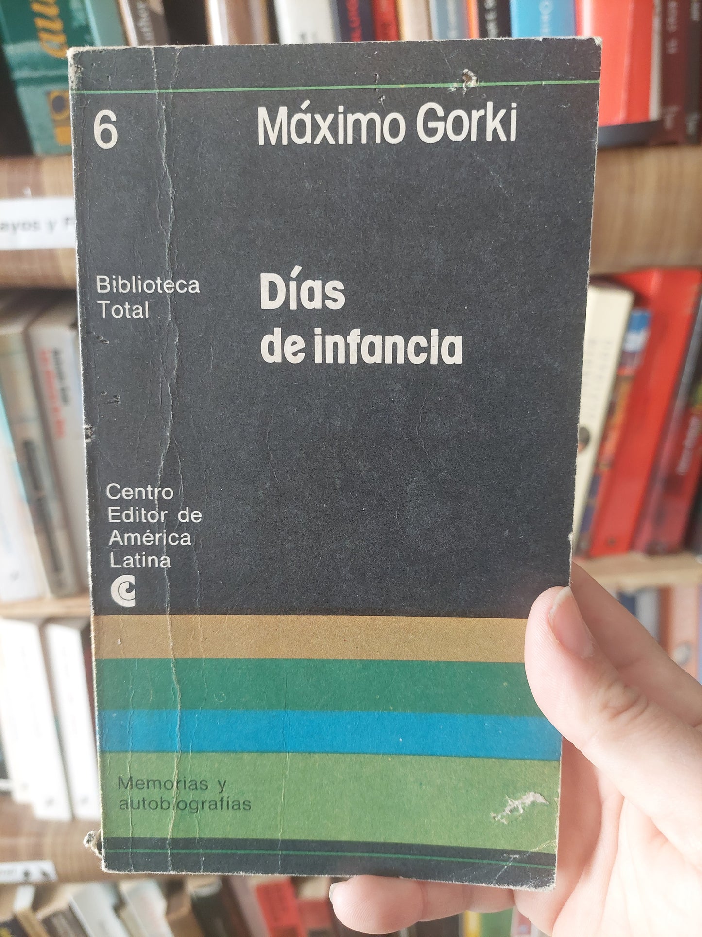 Días de infancia - Máximo Gorki