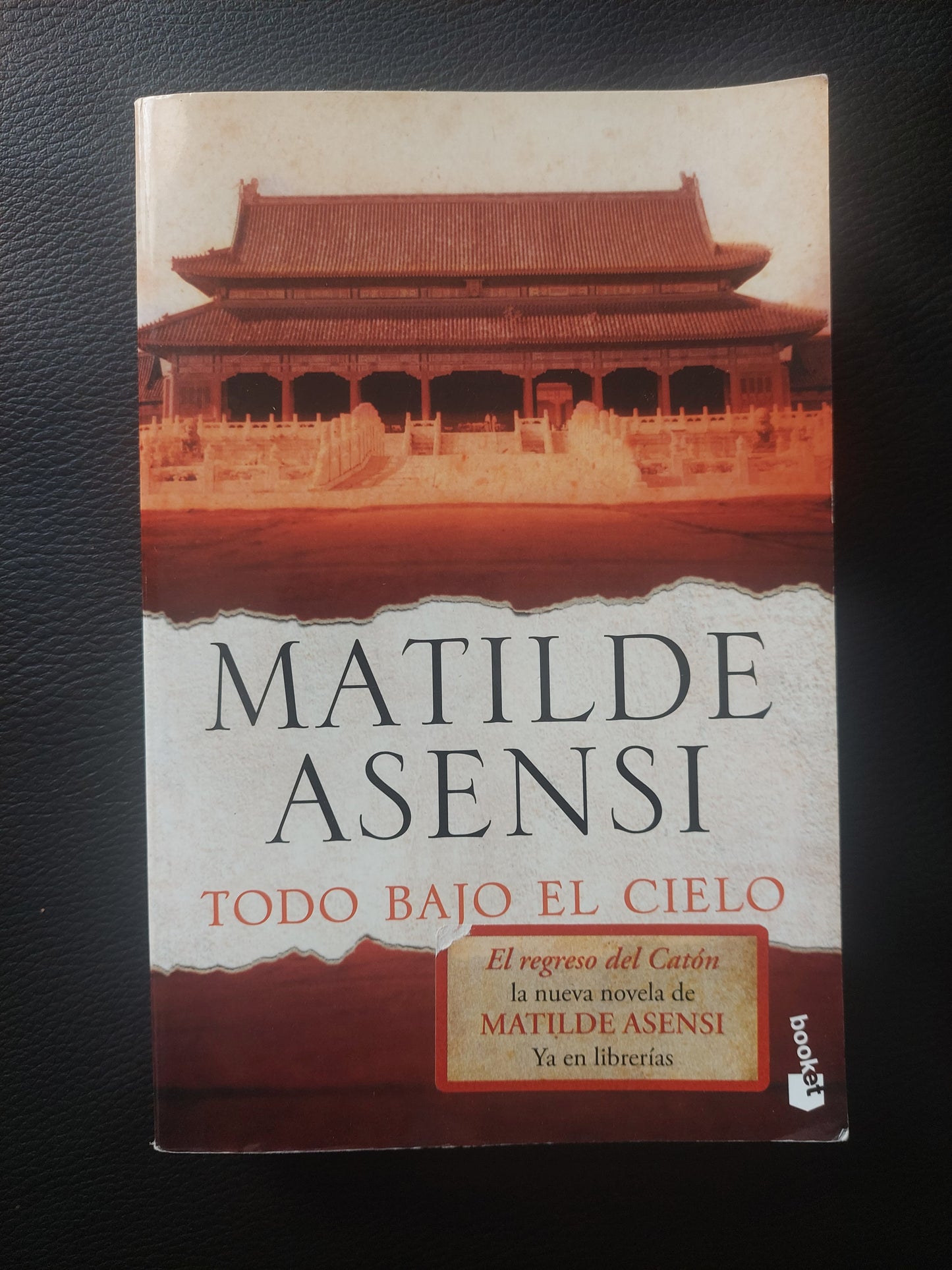 Todo bajo el cielo - Matilde Asensi