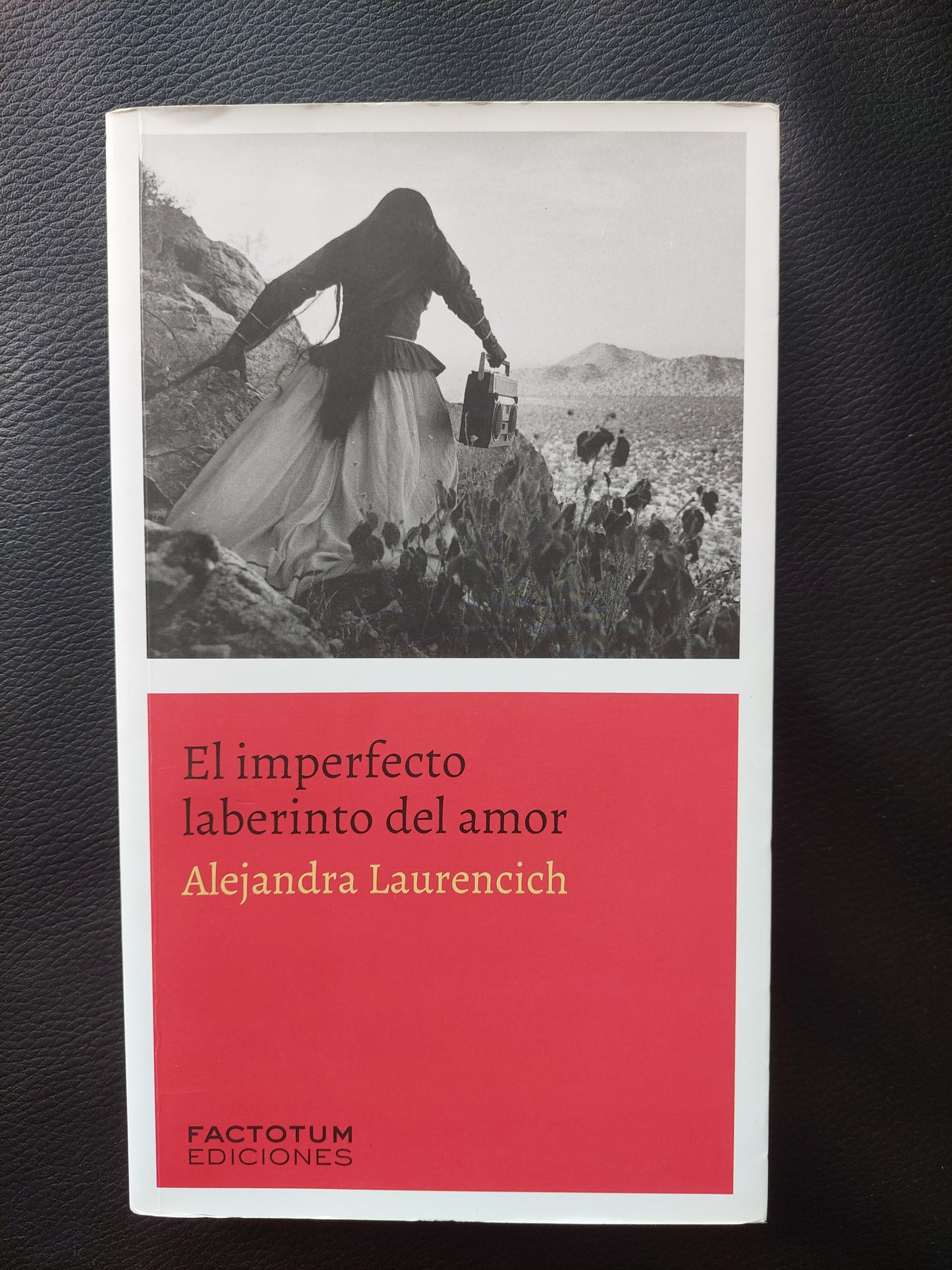 El Imperfecto Laberinto del amor - Alejandra Laurencich