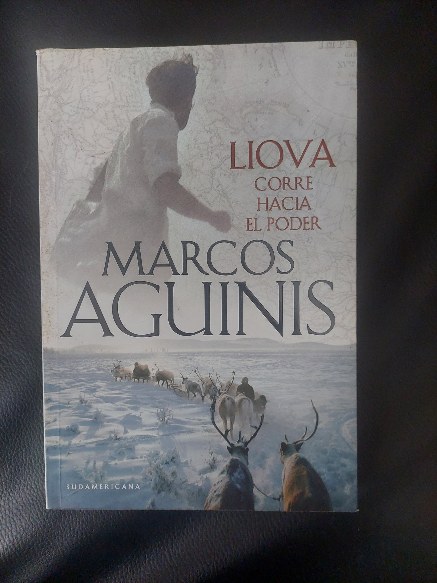 Liova. Corre hacia el poder - Marcos Aguinis