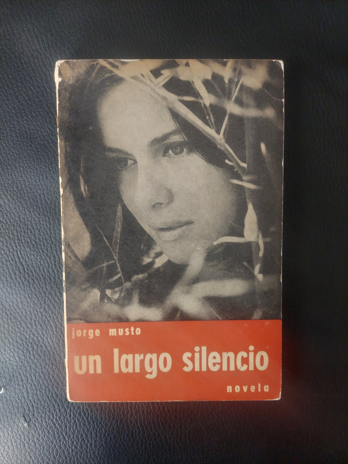 Un largo silencio - Jorge Musto